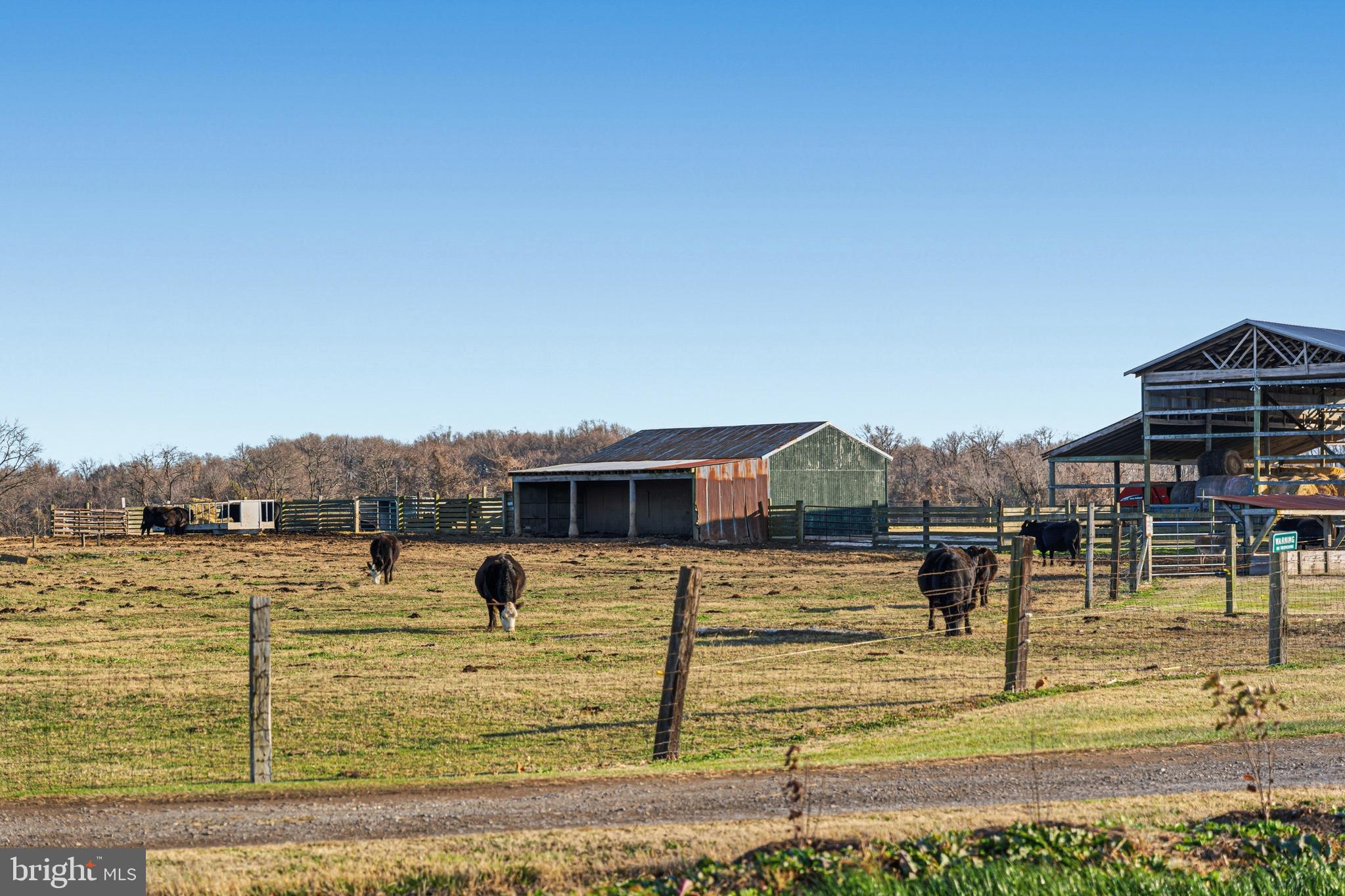 LODGE FOREST - Residential