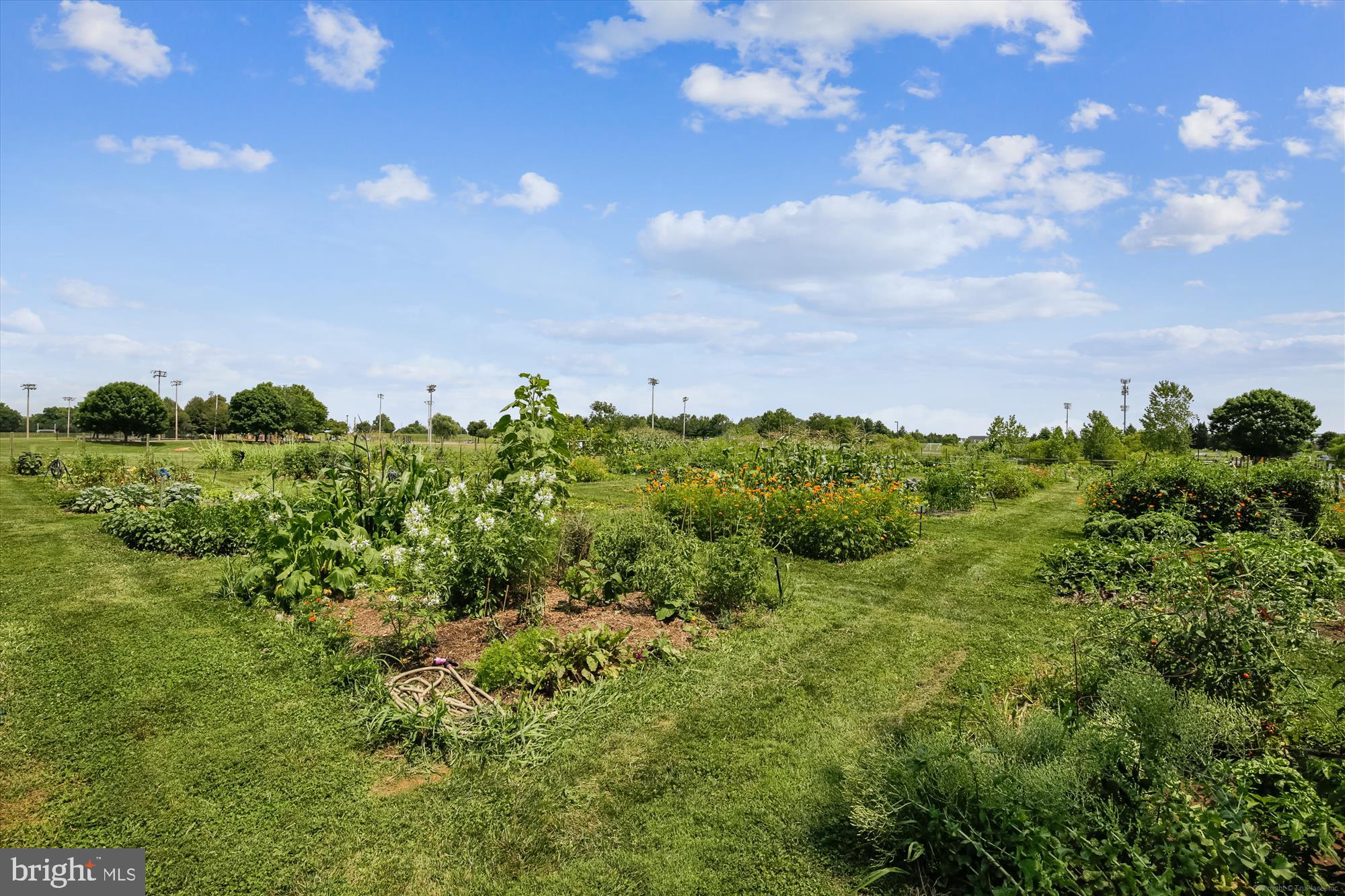 BALLENGER CREEK - Residential