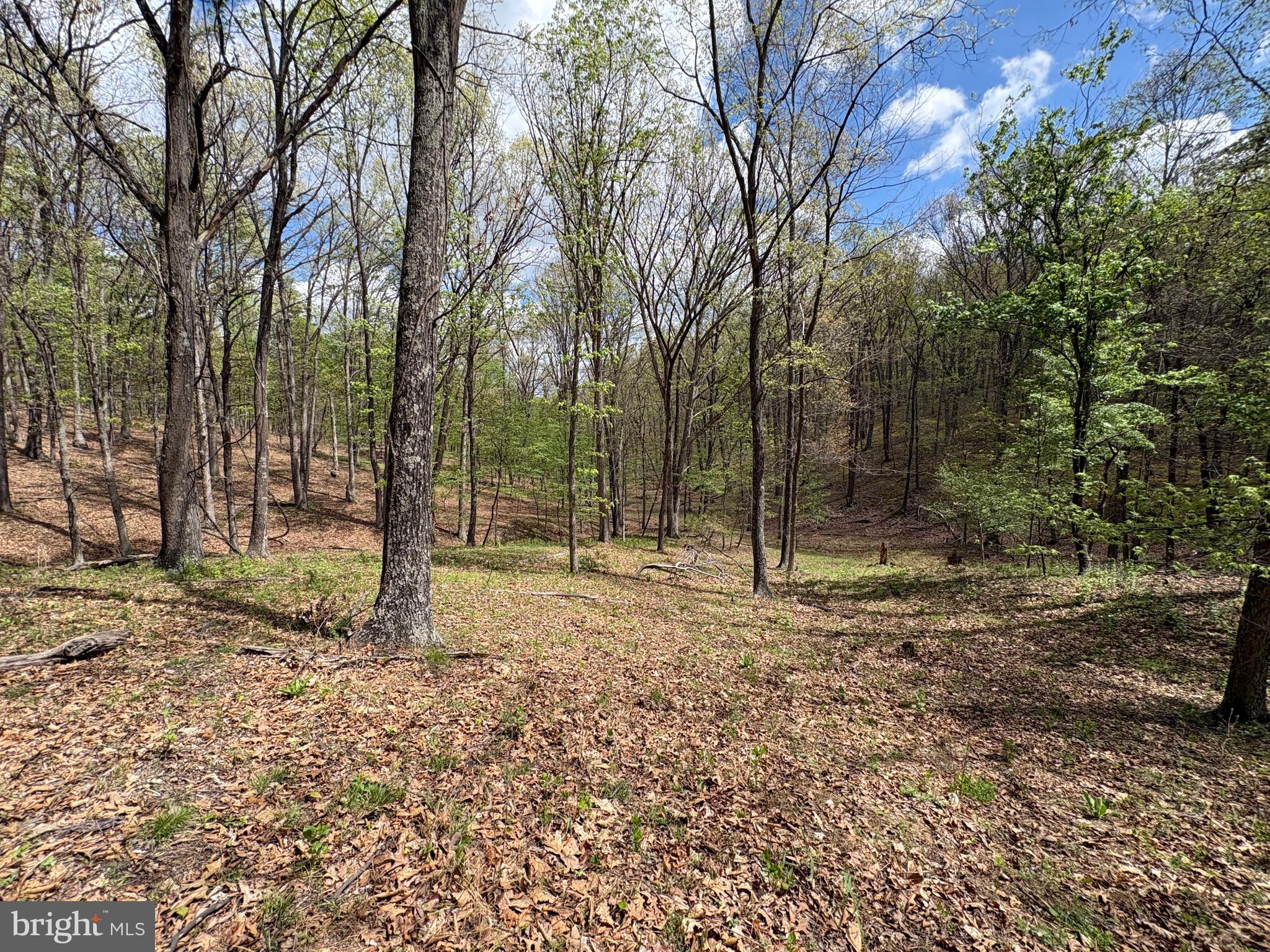 CABIN ON THE MOUNTAIN - Land