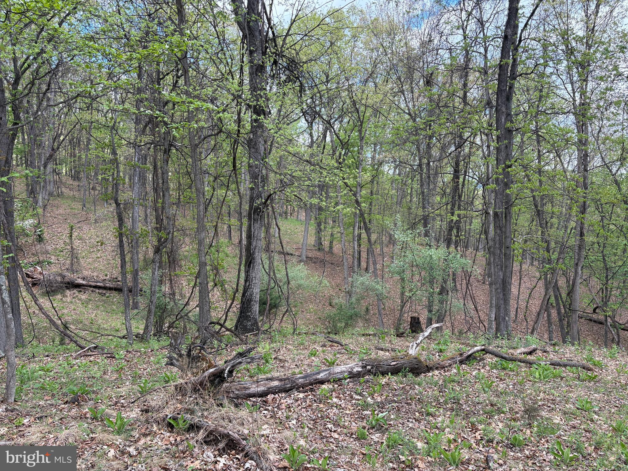 CABIN ON THE MOUNTAIN - Land