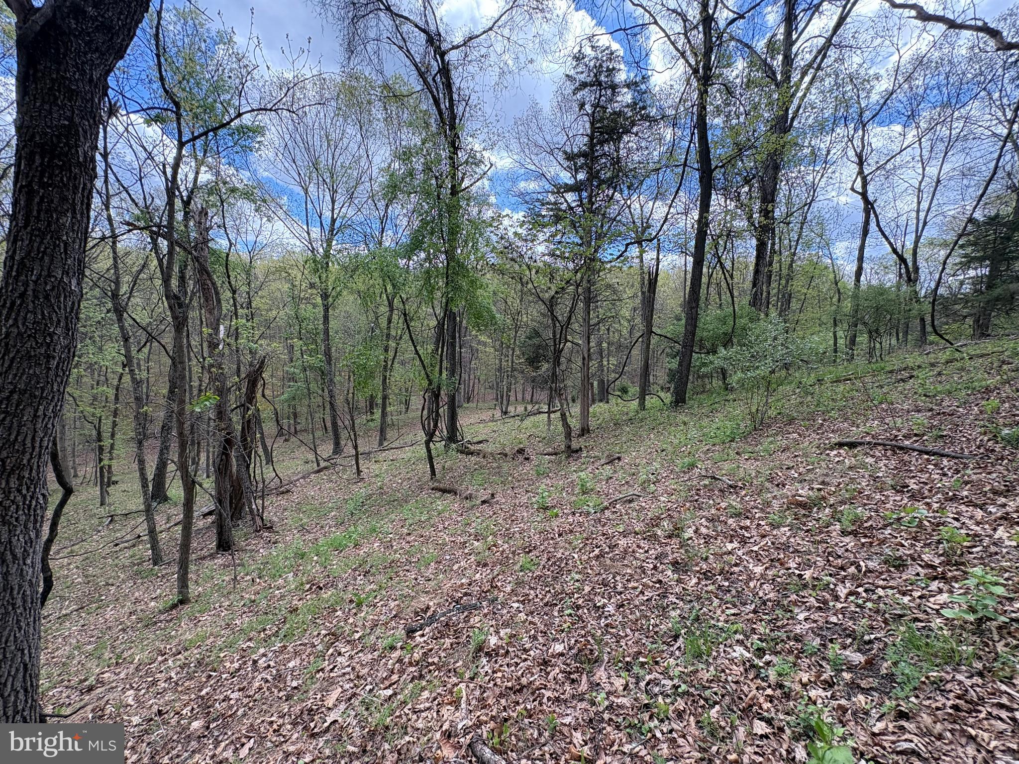 CABIN ON THE MOUNTAIN - Land