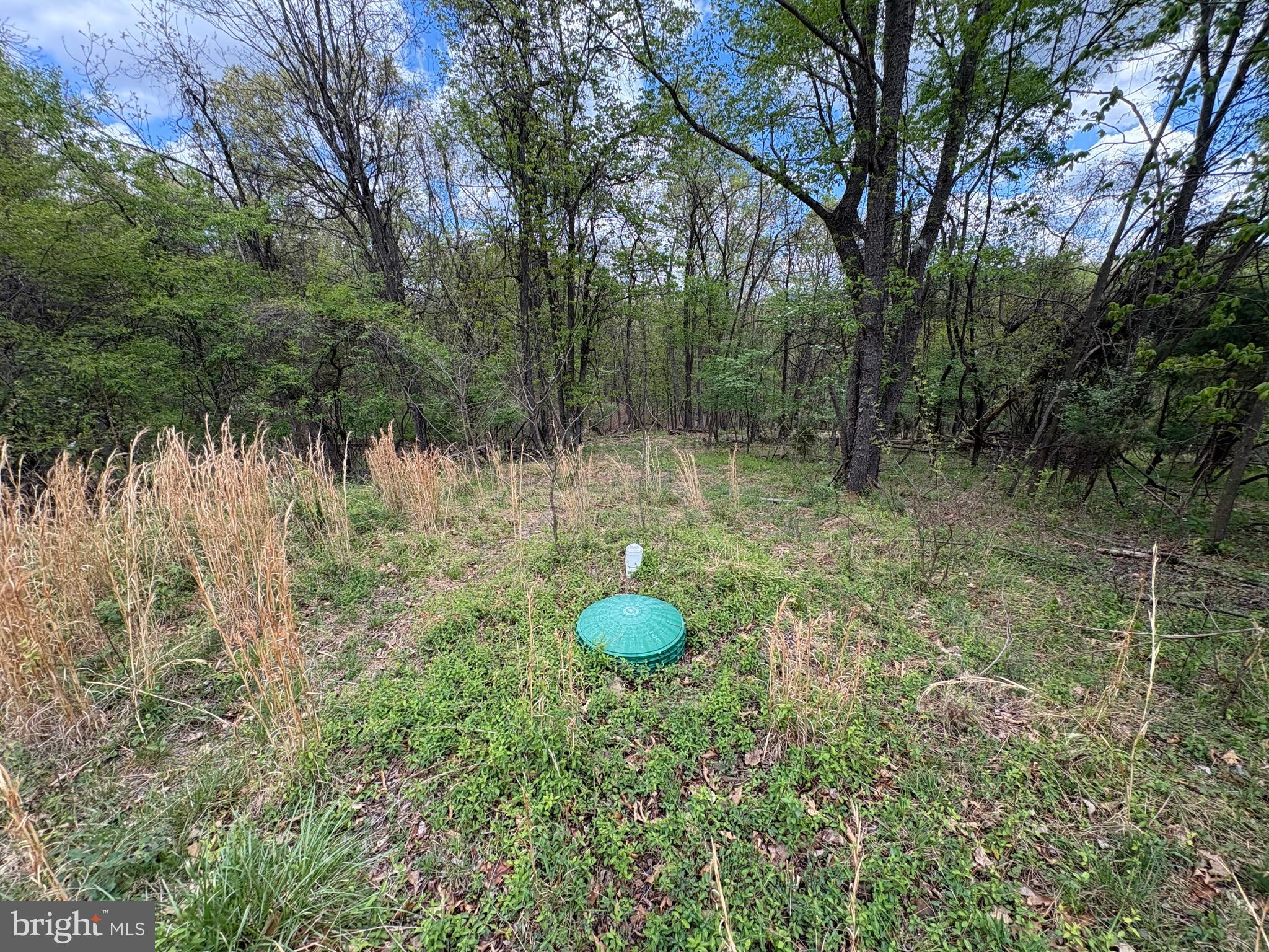 CABIN ON THE MOUNTAIN - Land