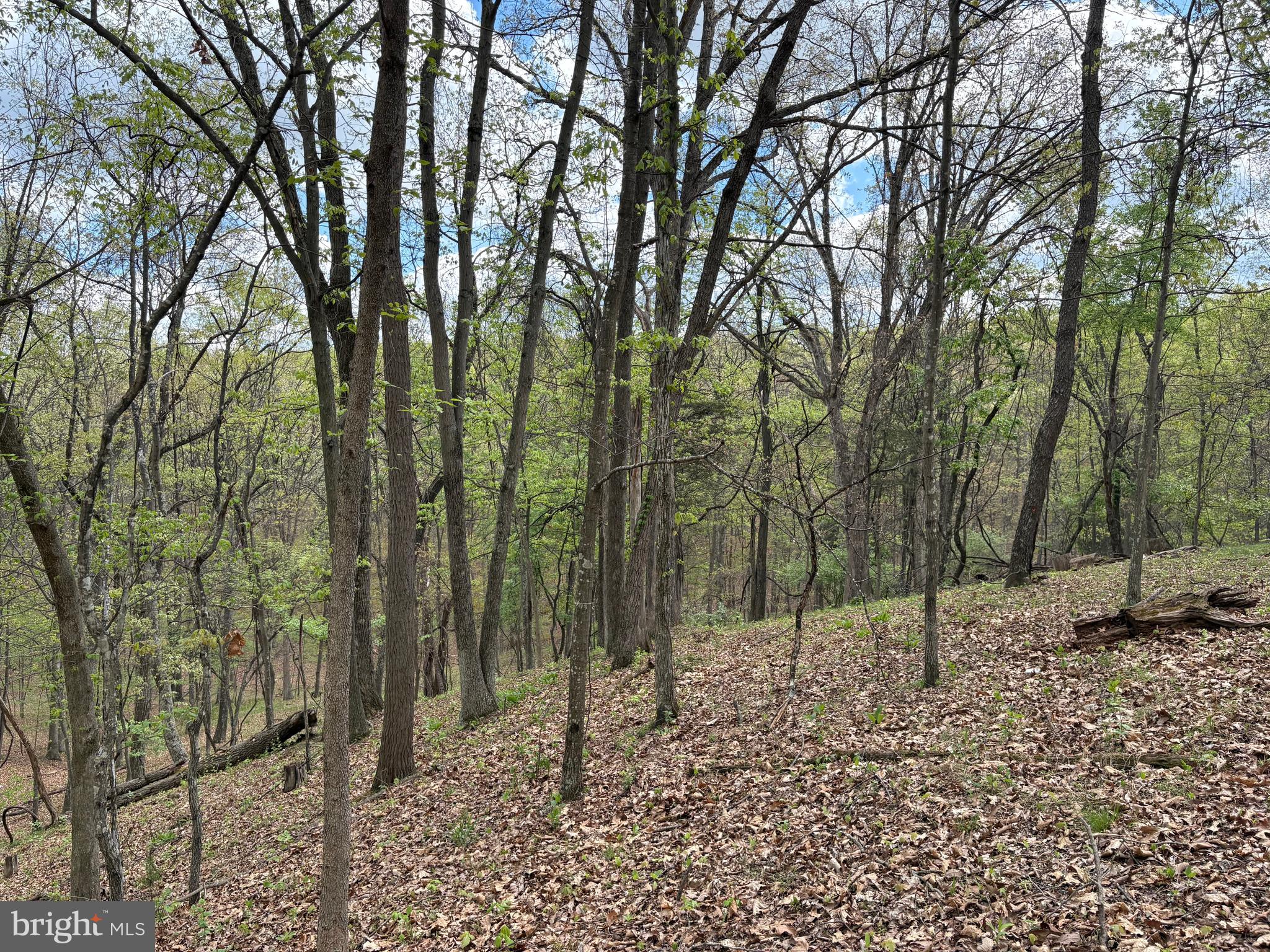 CABIN ON THE MOUNTAIN - Land