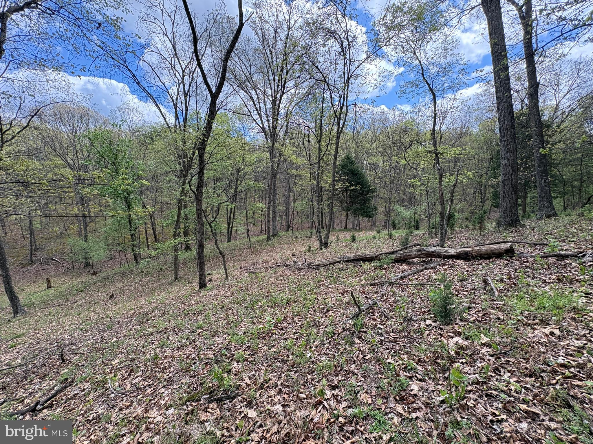 CABIN ON THE MOUNTAIN - Land