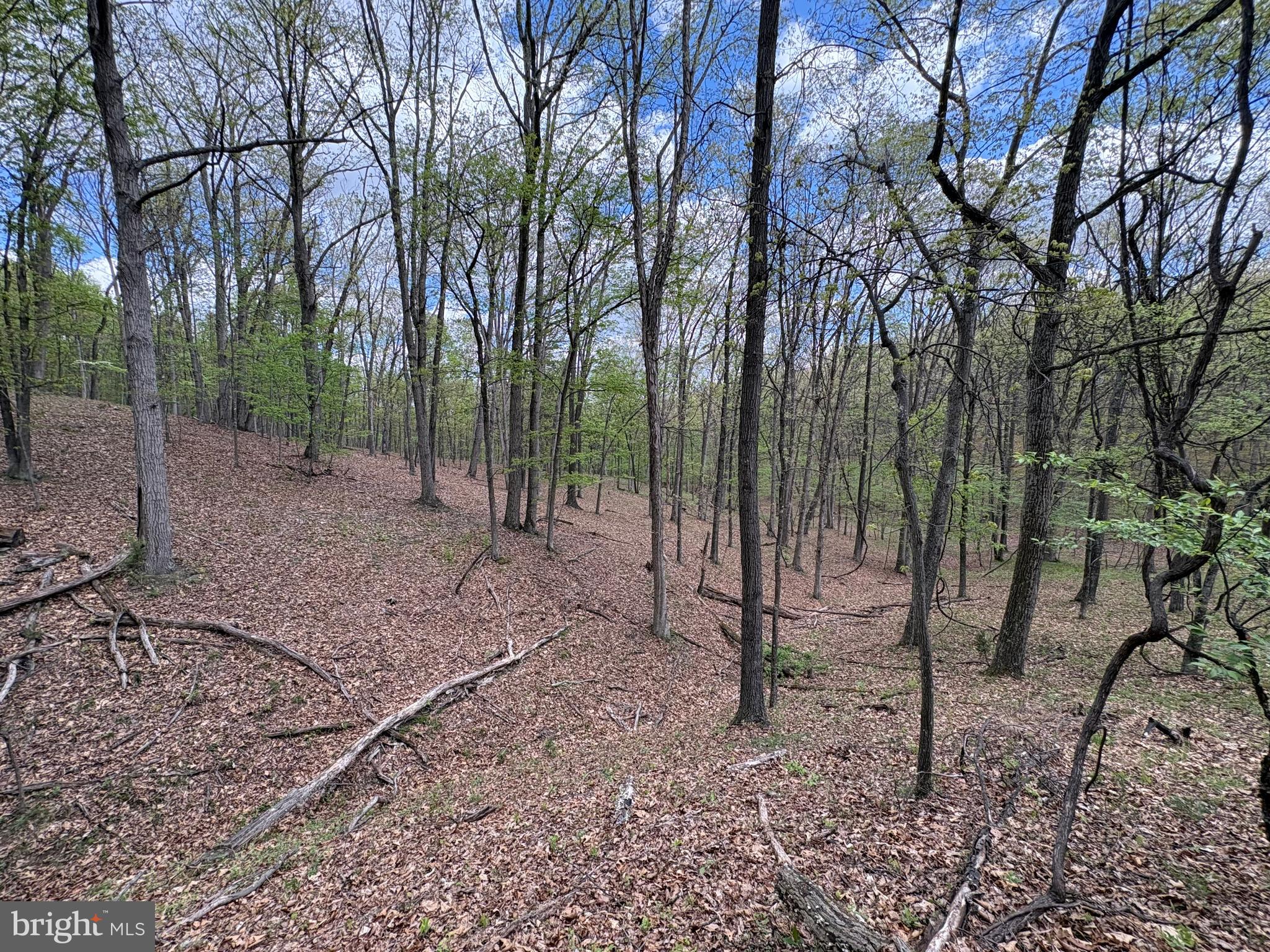 CABIN ON THE MOUNTAIN - Land