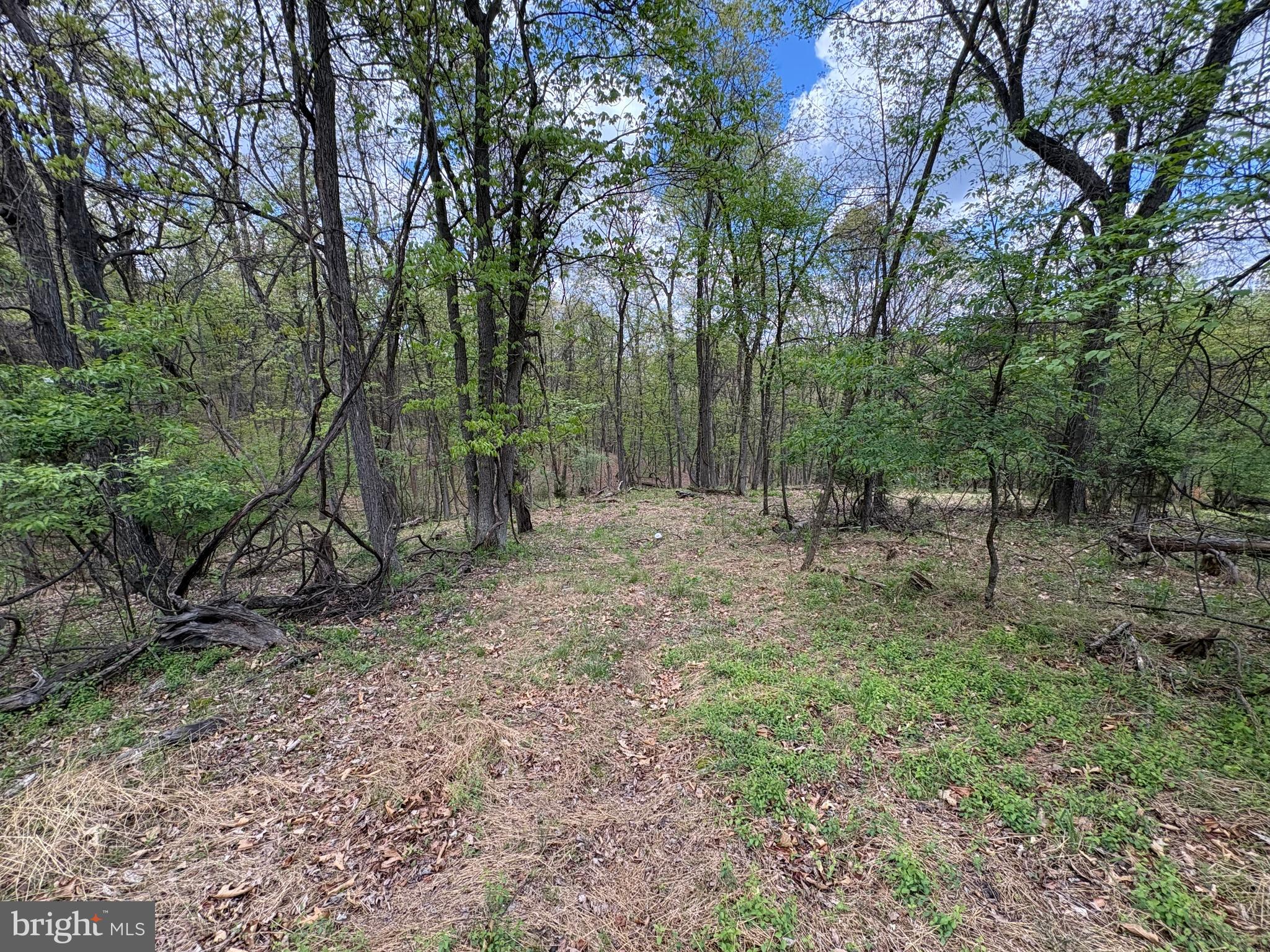 CABIN ON THE MOUNTAIN - Land