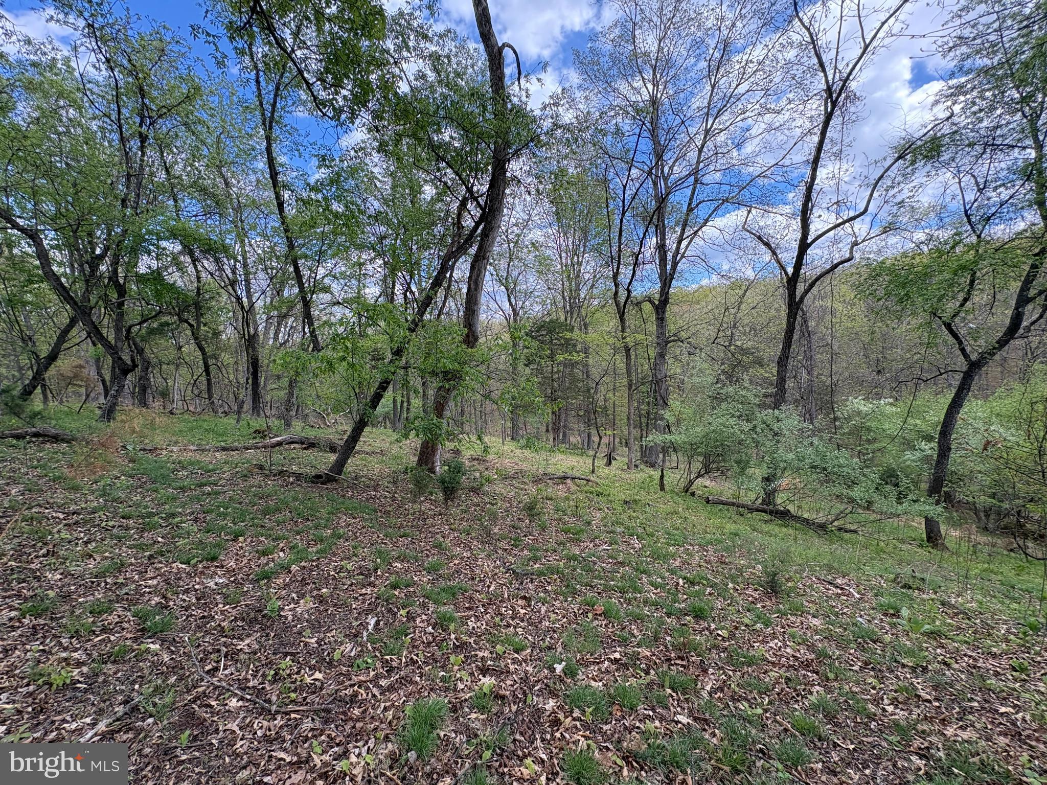 CABIN ON THE MOUNTAIN - Land