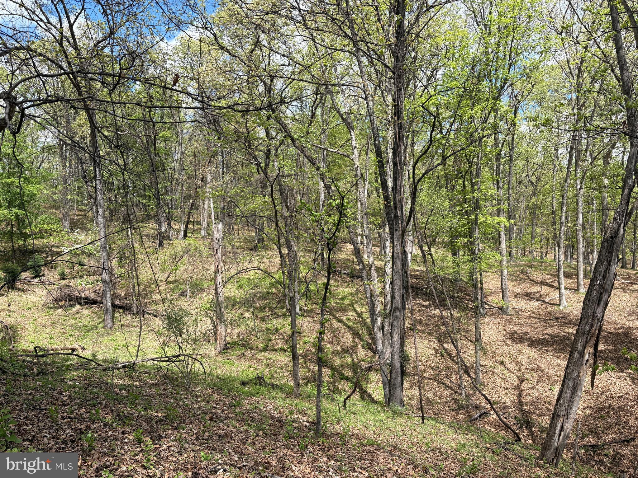 CABIN ON THE MOUNTAIN - Land