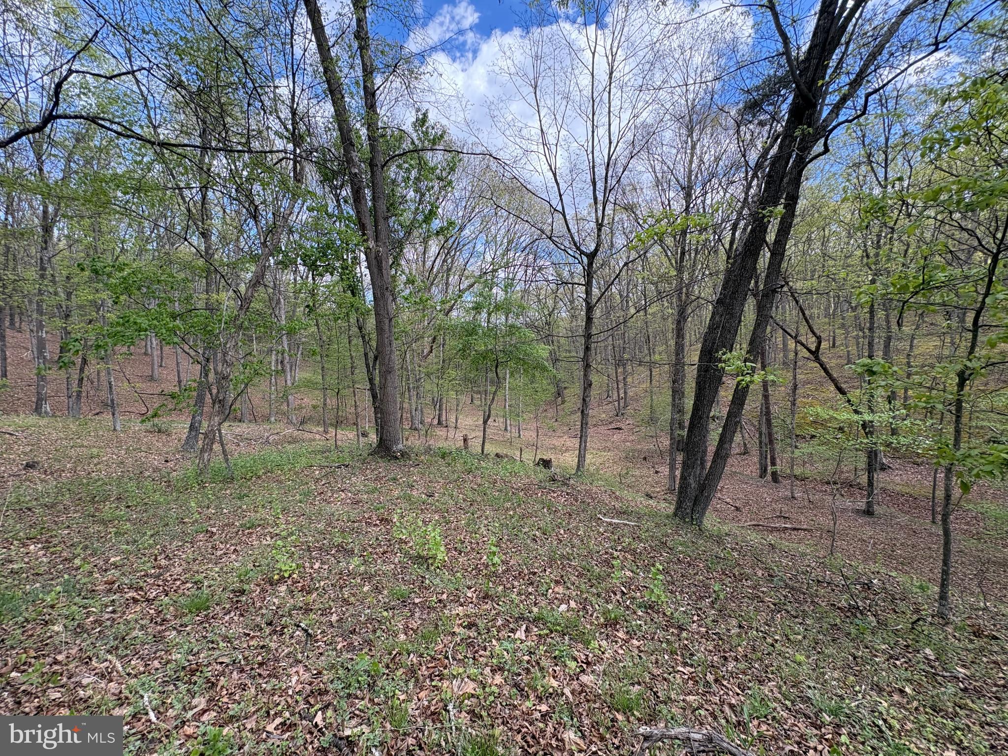 CABIN ON THE MOUNTAIN - Land