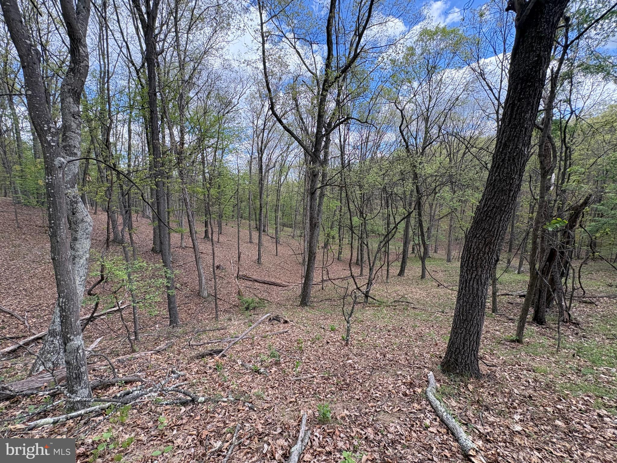 CABIN ON THE MOUNTAIN - Land
