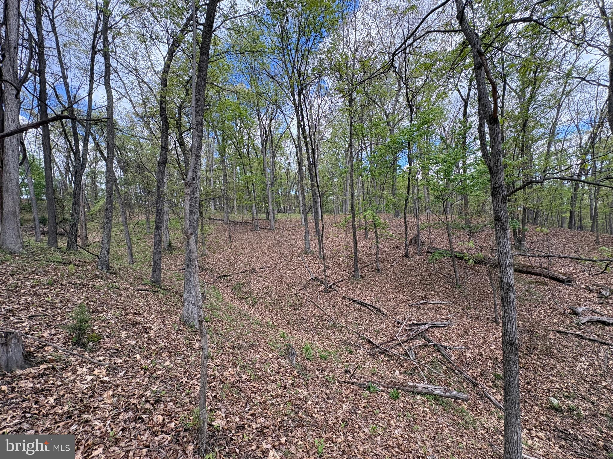 CABIN ON THE MOUNTAIN - Land
