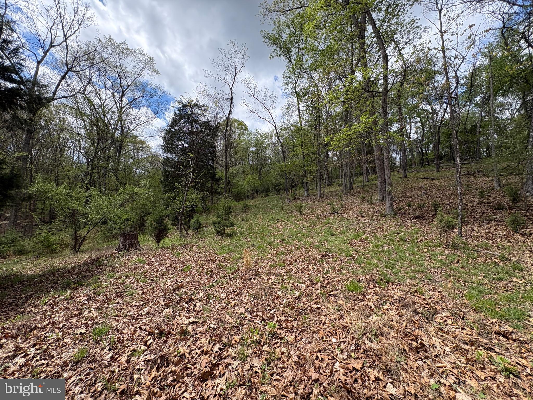 CABIN ON THE MOUNTAIN - Land
