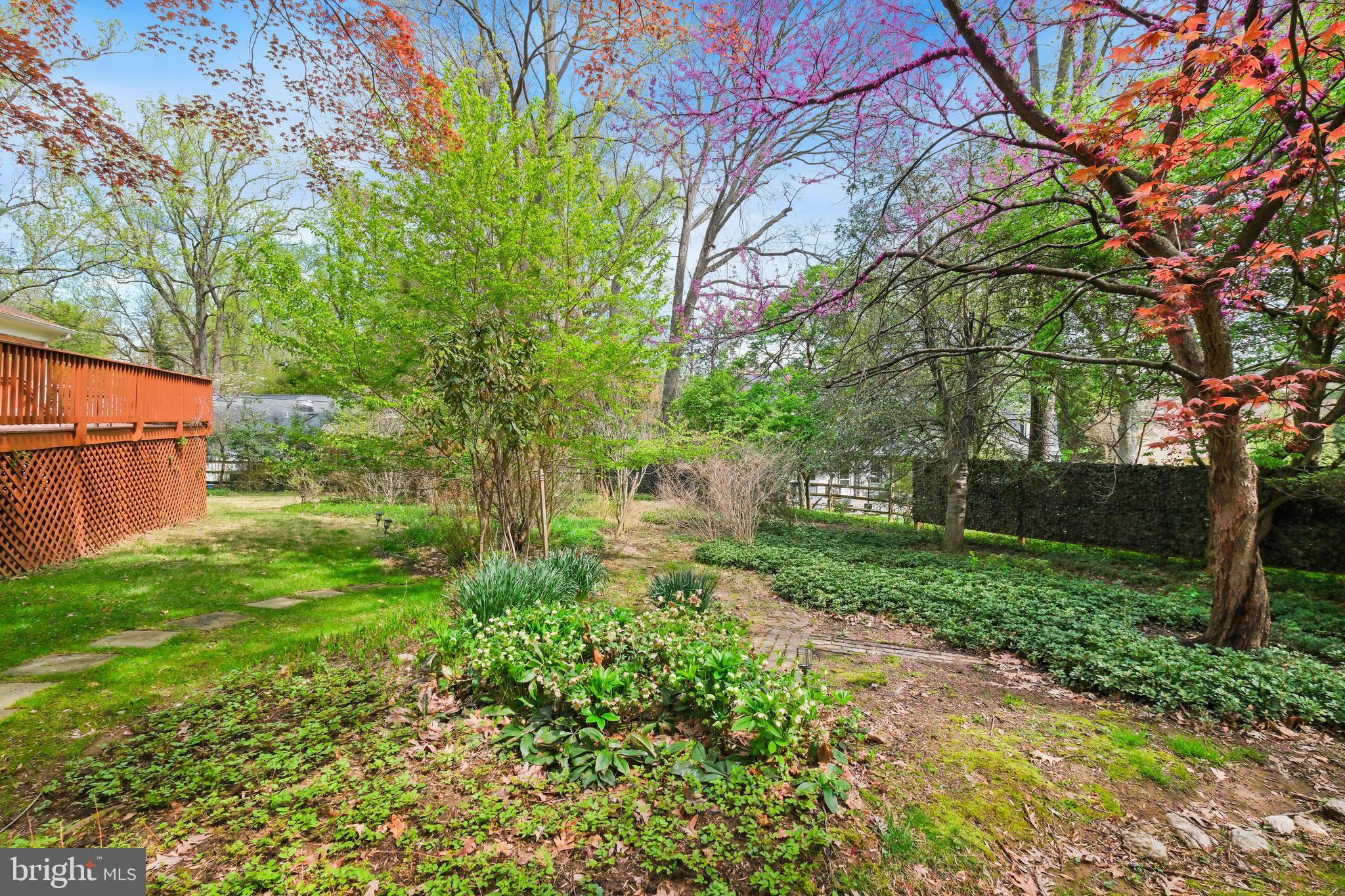 LUXMANOR - Residential