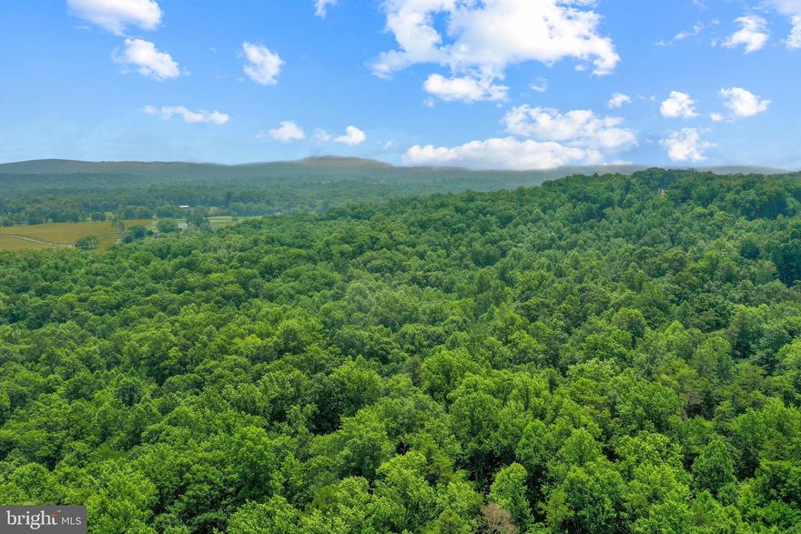 Dream Home Site Alert! Gorgeous 11 acres with 2 creeks on the property and tall trees. Survey work was completed and flags and markings are visible. Two different homes sites have been perked and approved for 3 bedroom homes.  Perk work was in process for a 4th bedroom and the soil is great for it. Electricity is at the rd. Gravity well pump can work here.