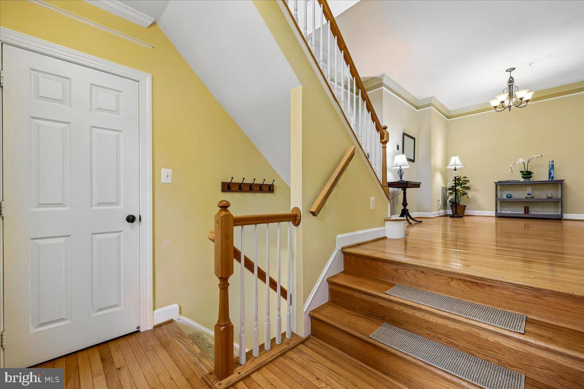 611 PLEASANT DRIVE