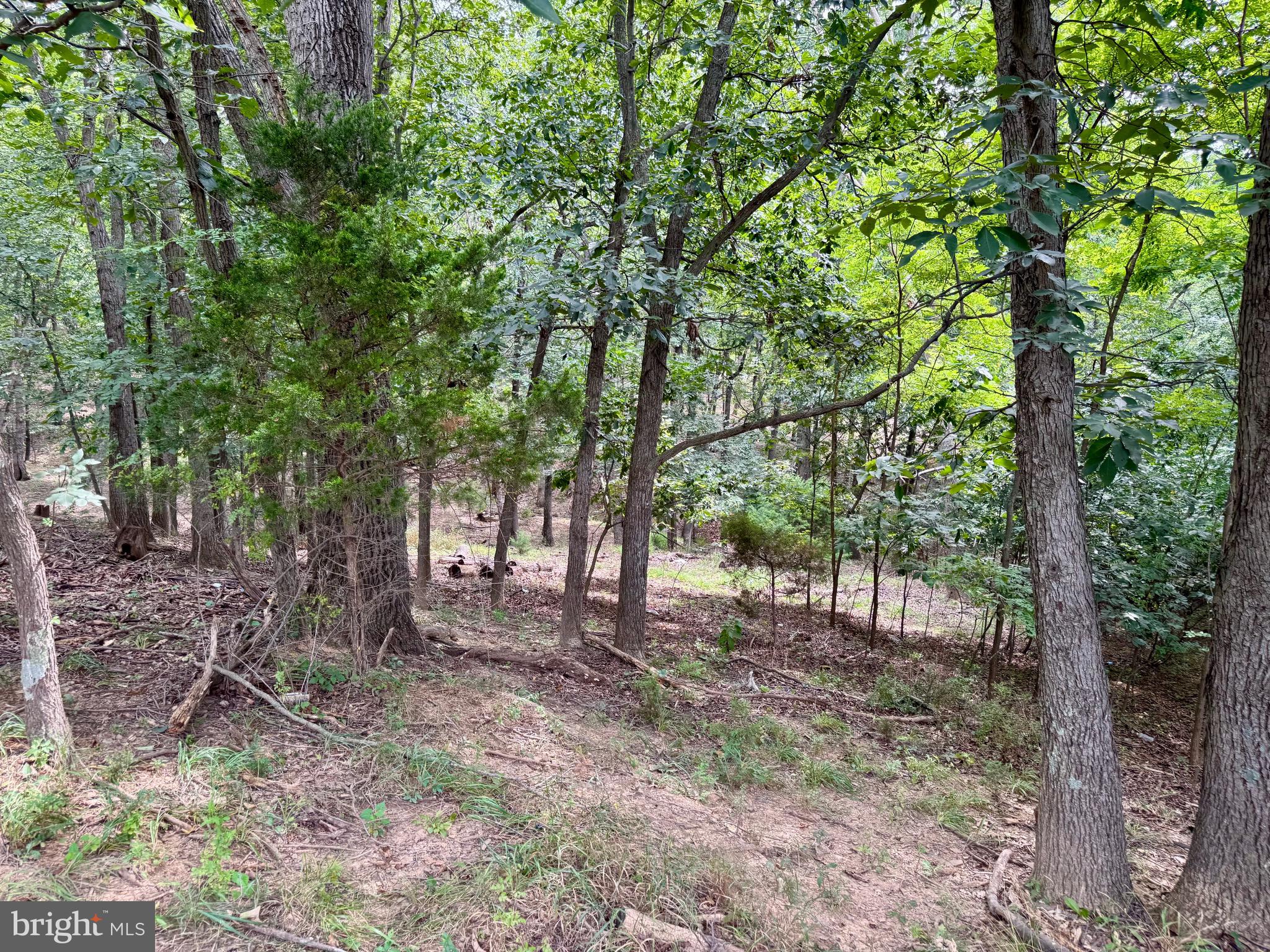 HIGH POINT - Residential