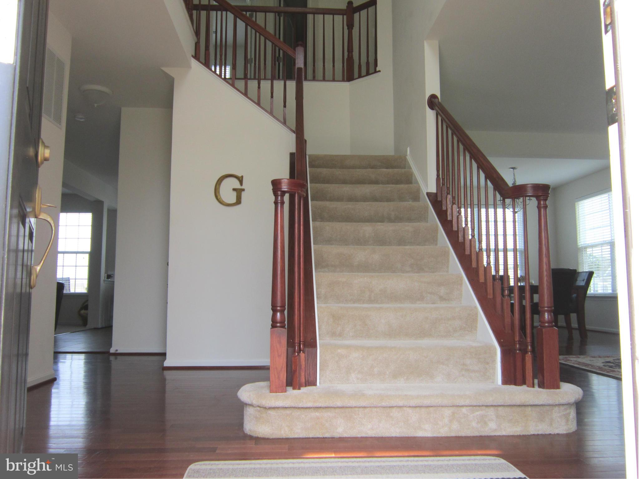 ELYSIAN HEIGHTS - Residential