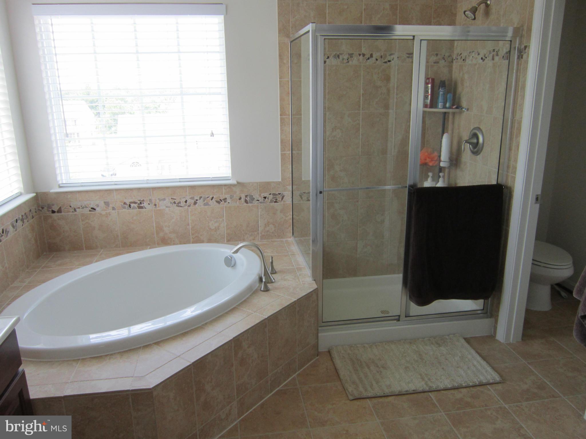 ELYSIAN HEIGHTS - Residential