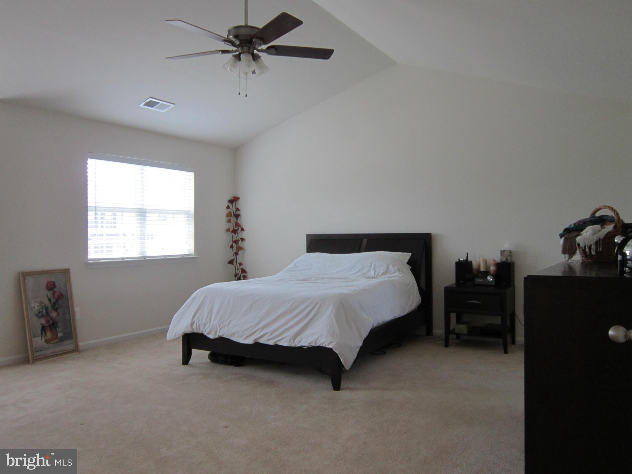 ELYSIAN HEIGHTS - Residential