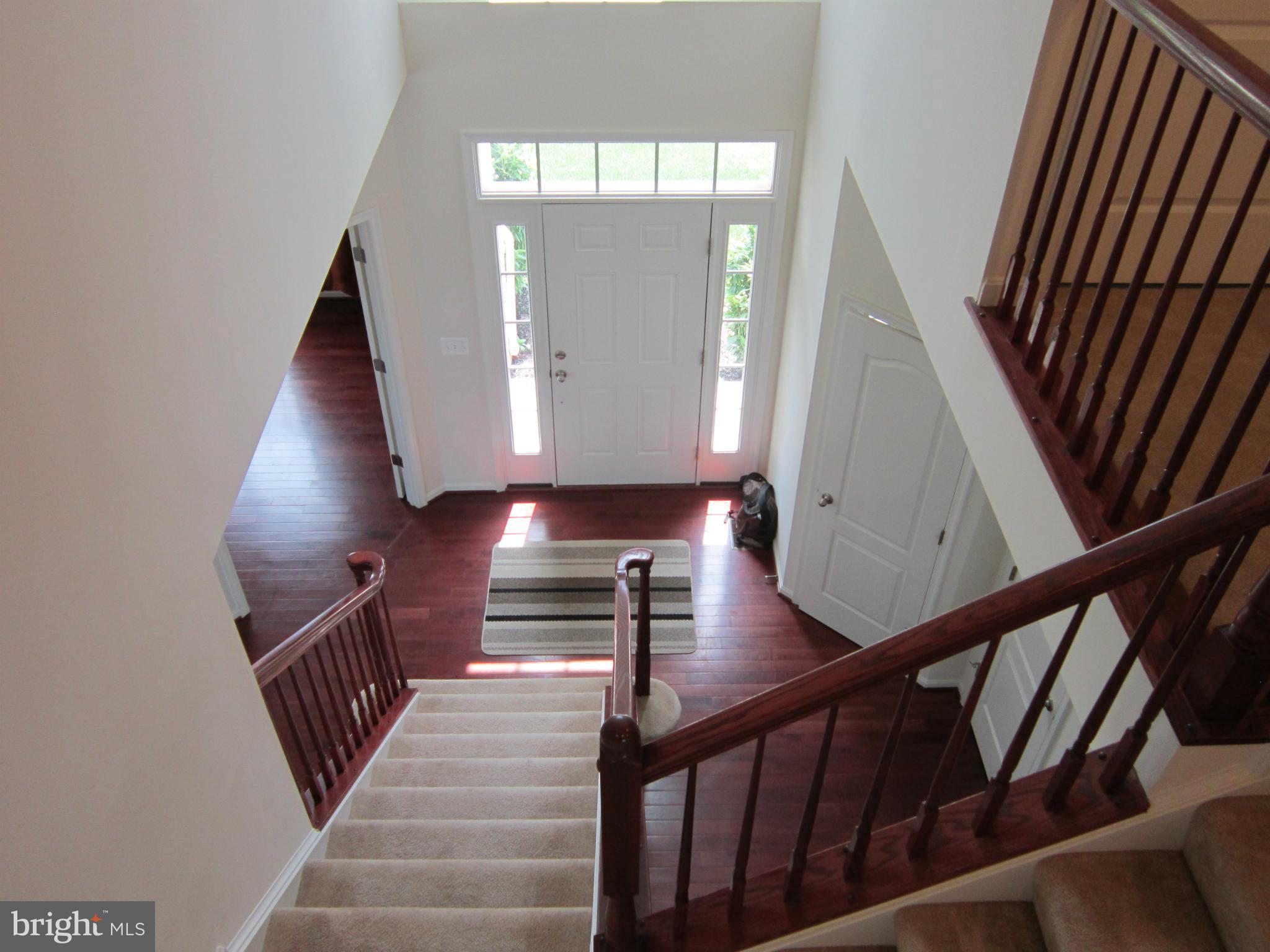 ELYSIAN HEIGHTS - Residential