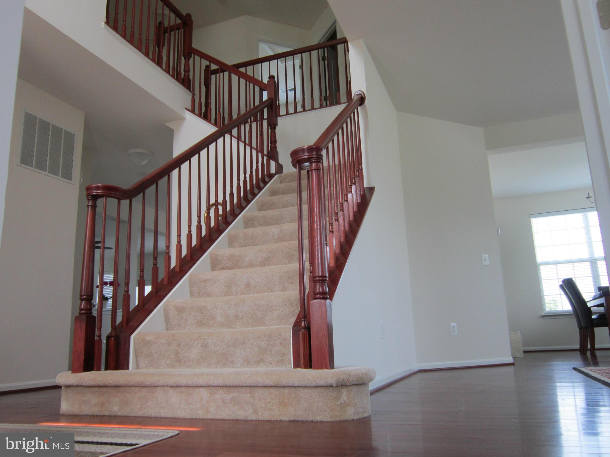 ELYSIAN HEIGHTS - Residential