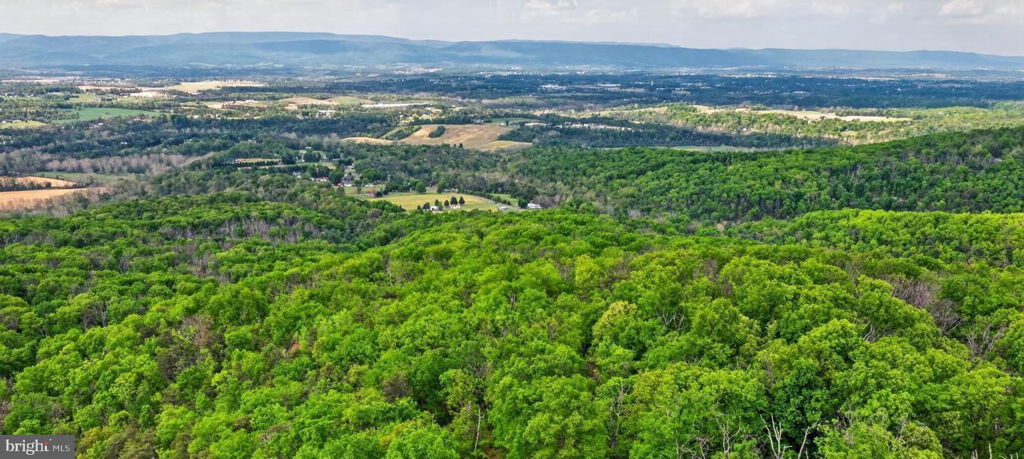 Lot 1 TOMAHAWK LANE