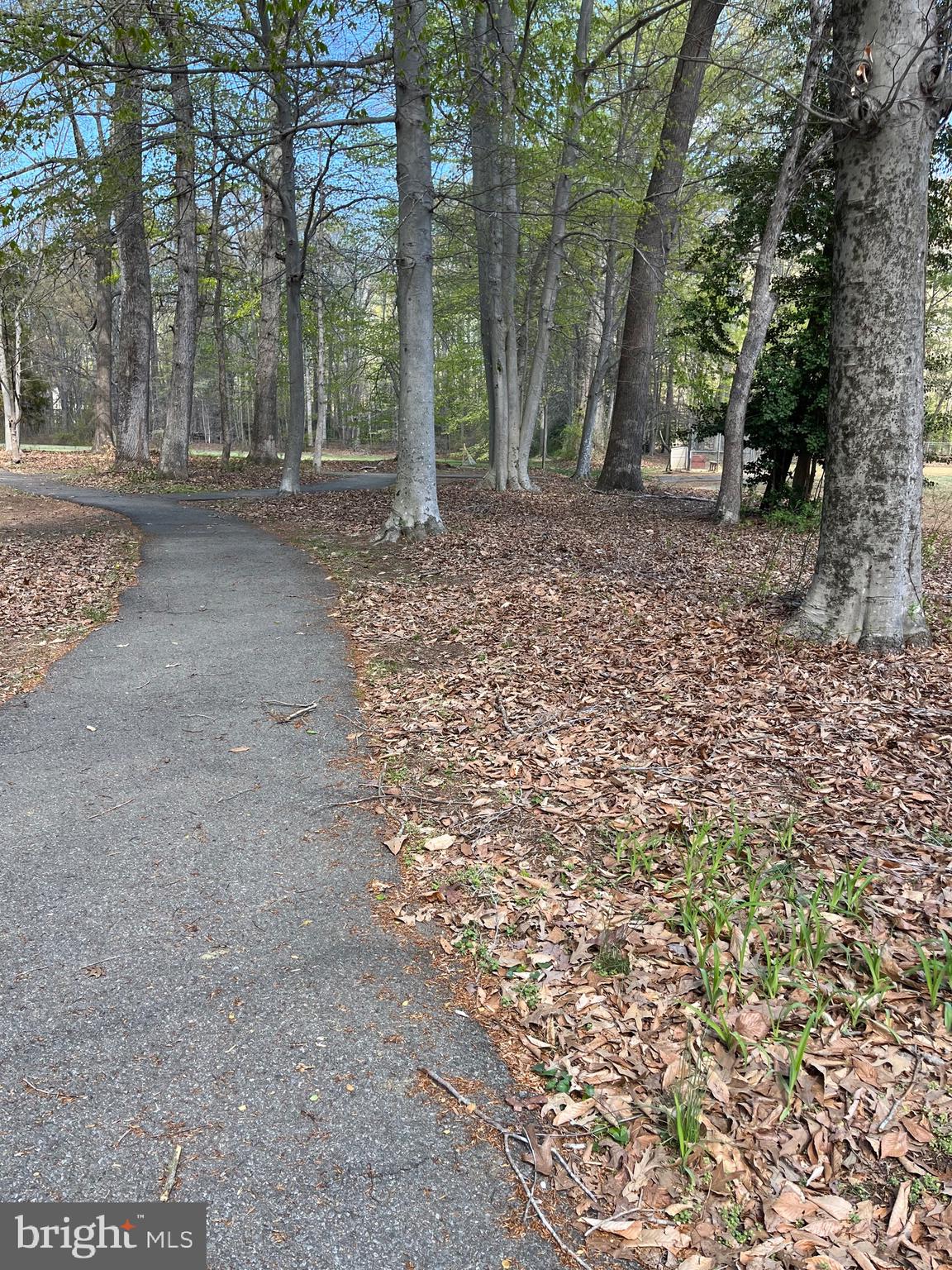 PATUXENT MANOR - Residential