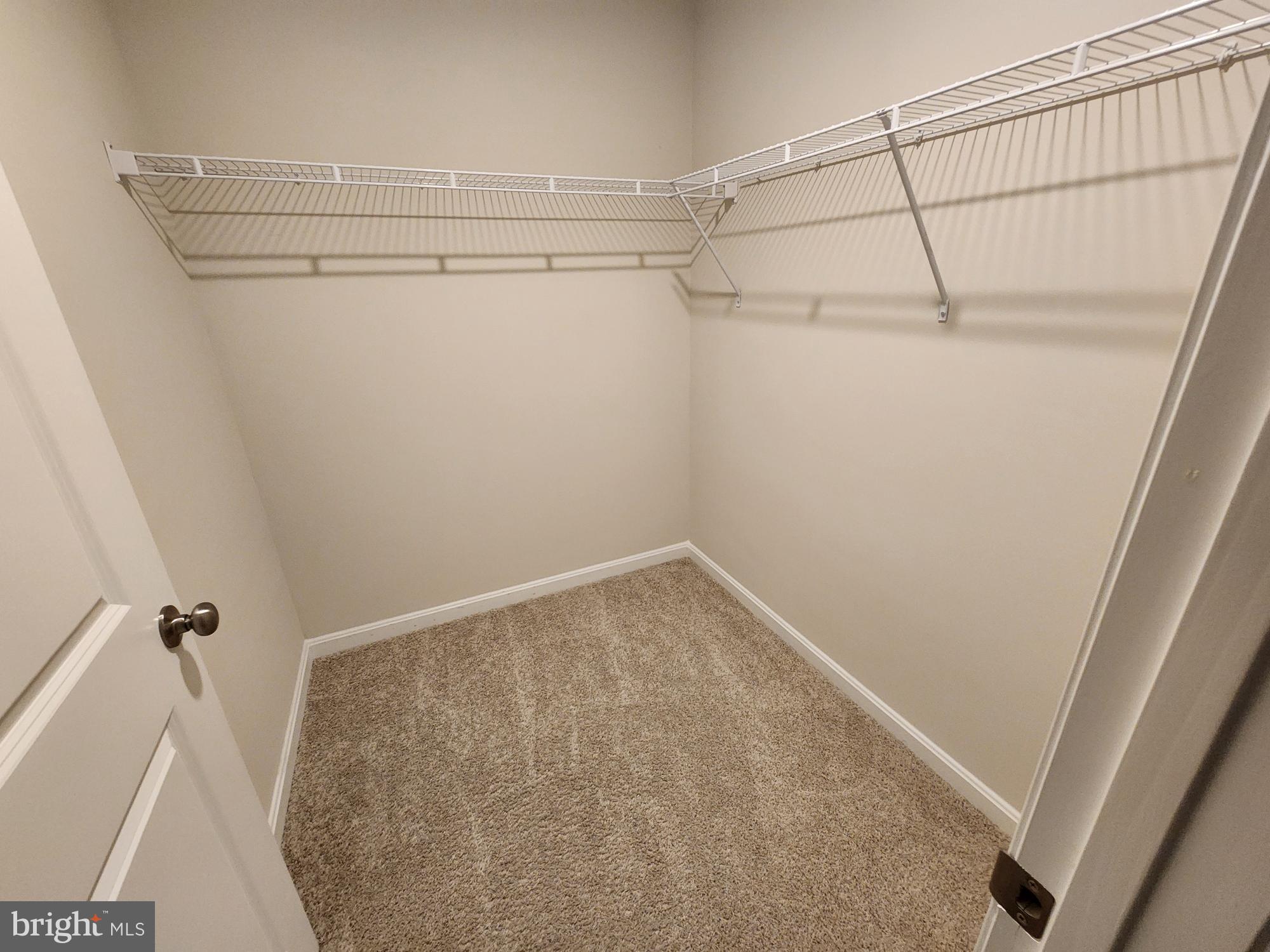 MAGNOLIA SPRINGS - Residential Lease