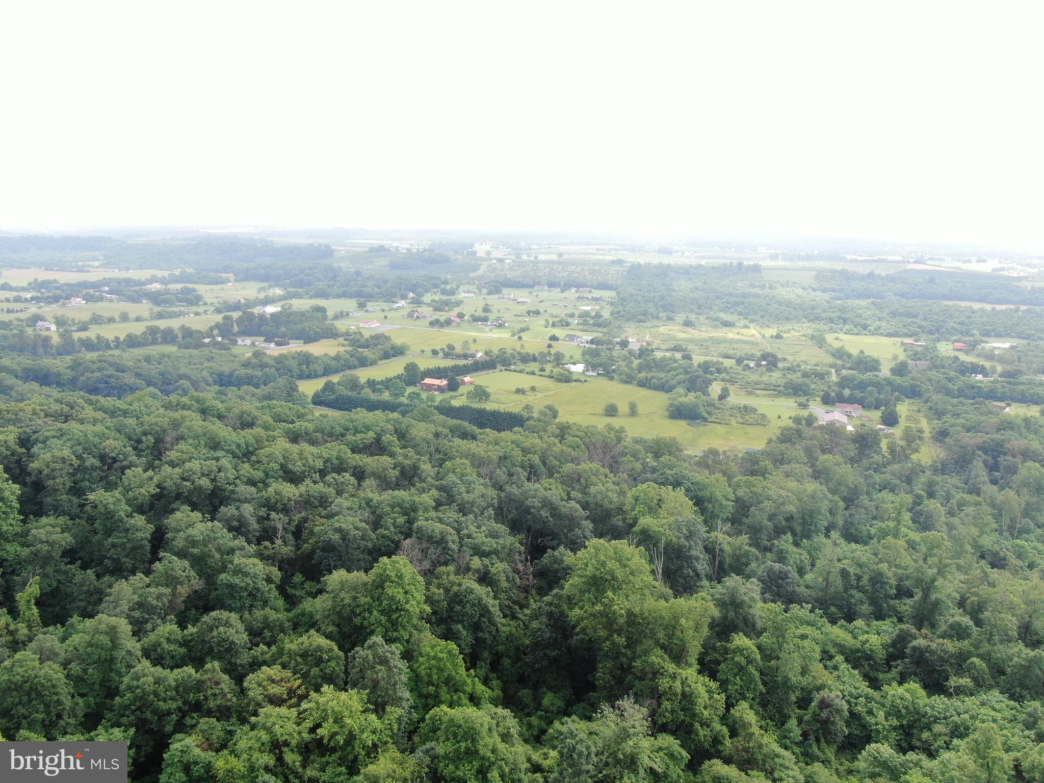 52+/- ACRES NEEDMORE RD