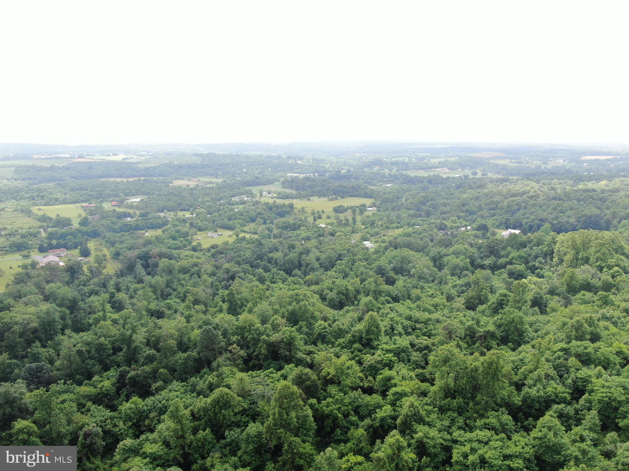 52+/- ACRES NEEDMORE RD