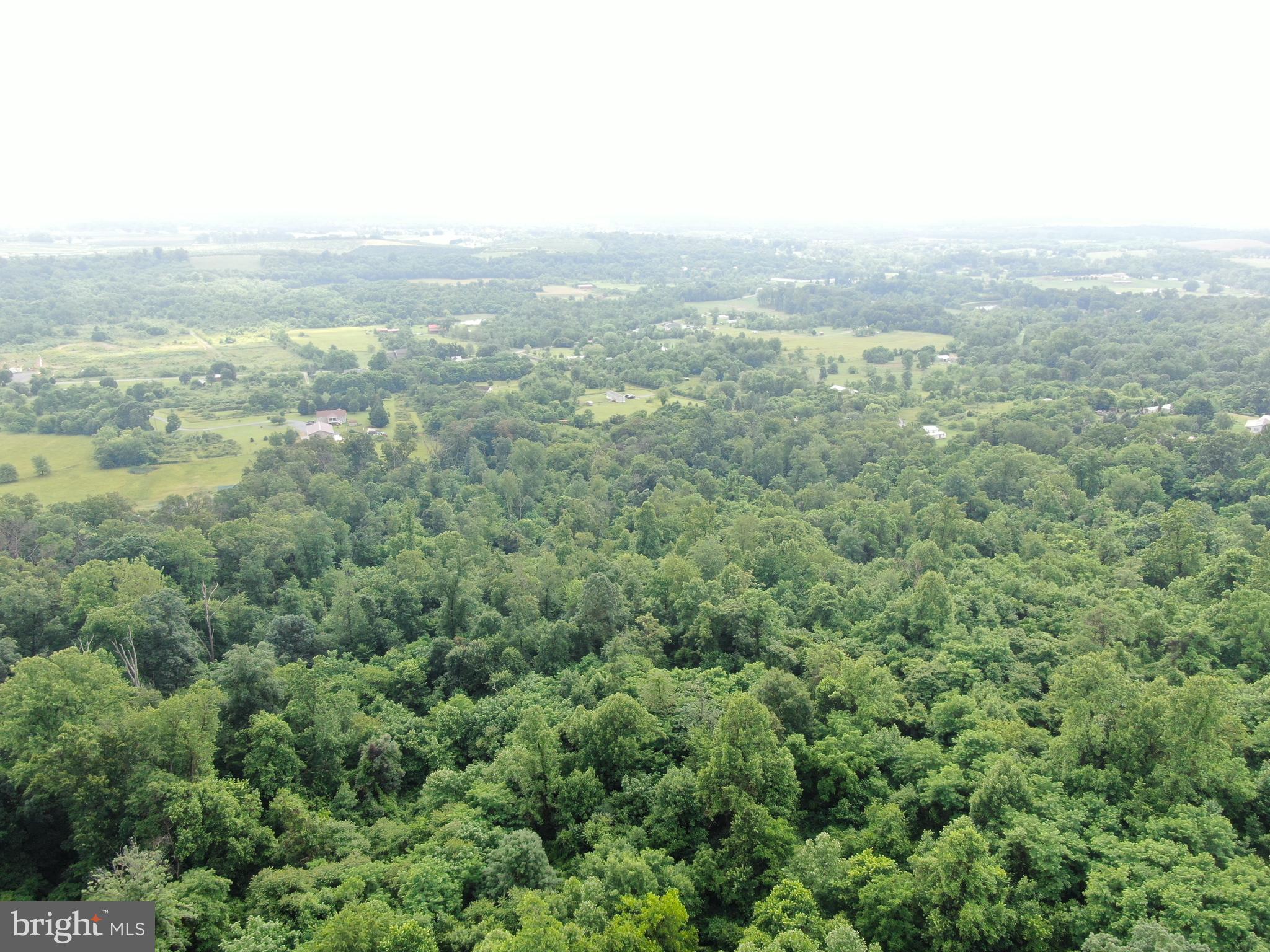 52+/- ACRES NEEDMORE RD
