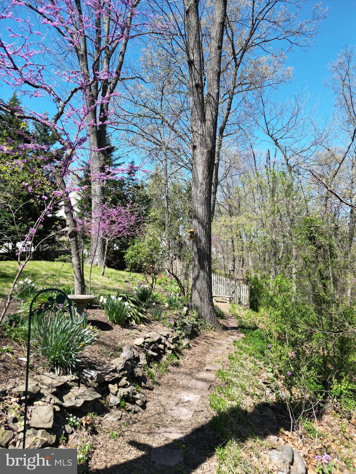 PEMBRIDGE HEIGHTS - Residential
