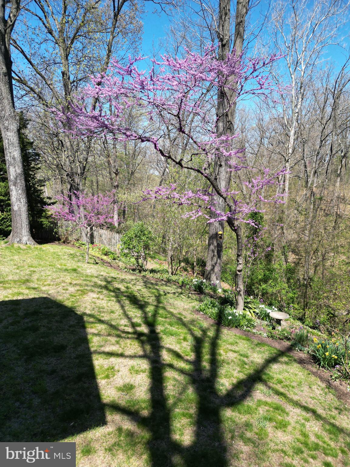 PEMBRIDGE HEIGHTS - Residential