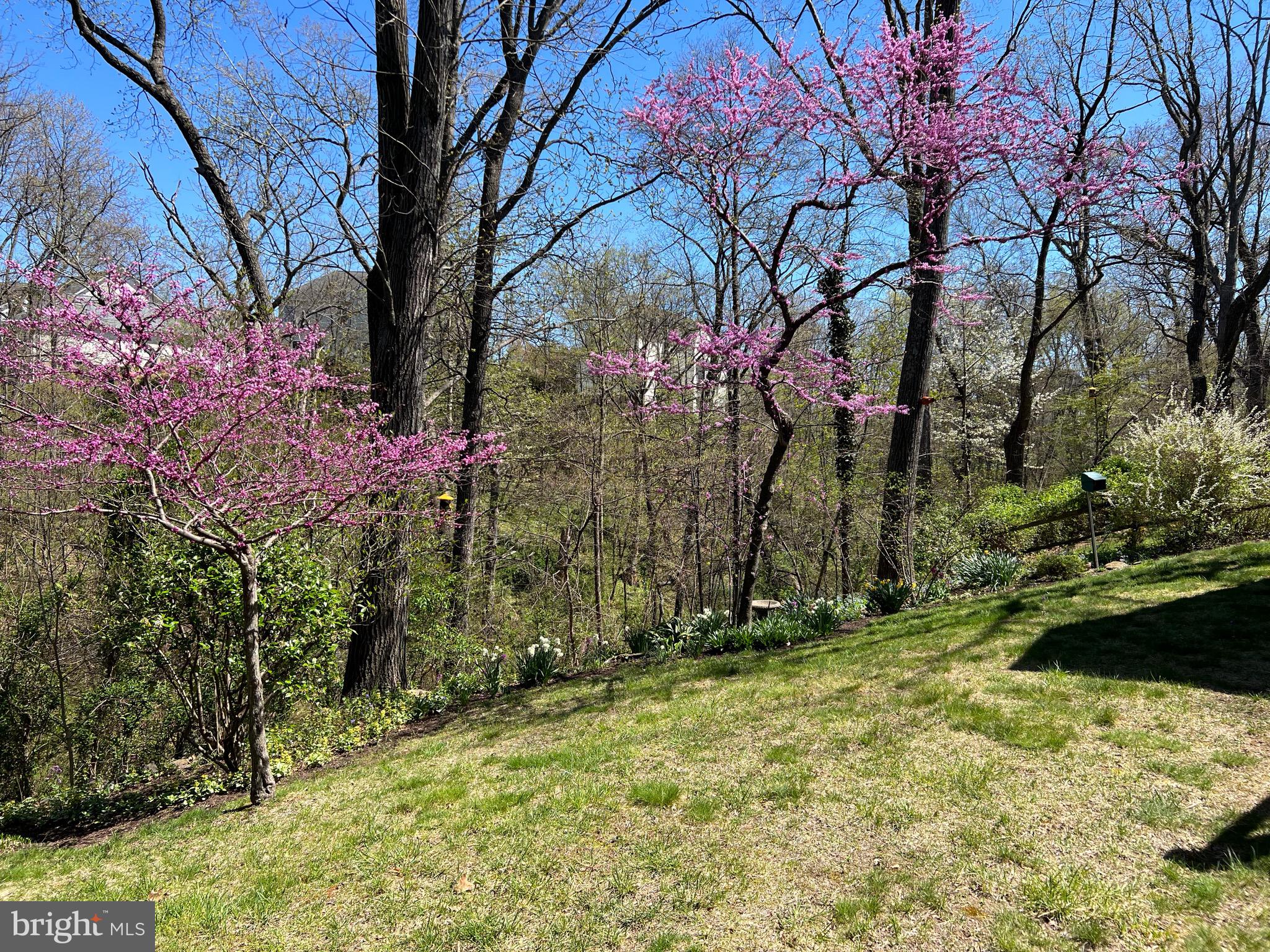 PEMBRIDGE HEIGHTS - Residential