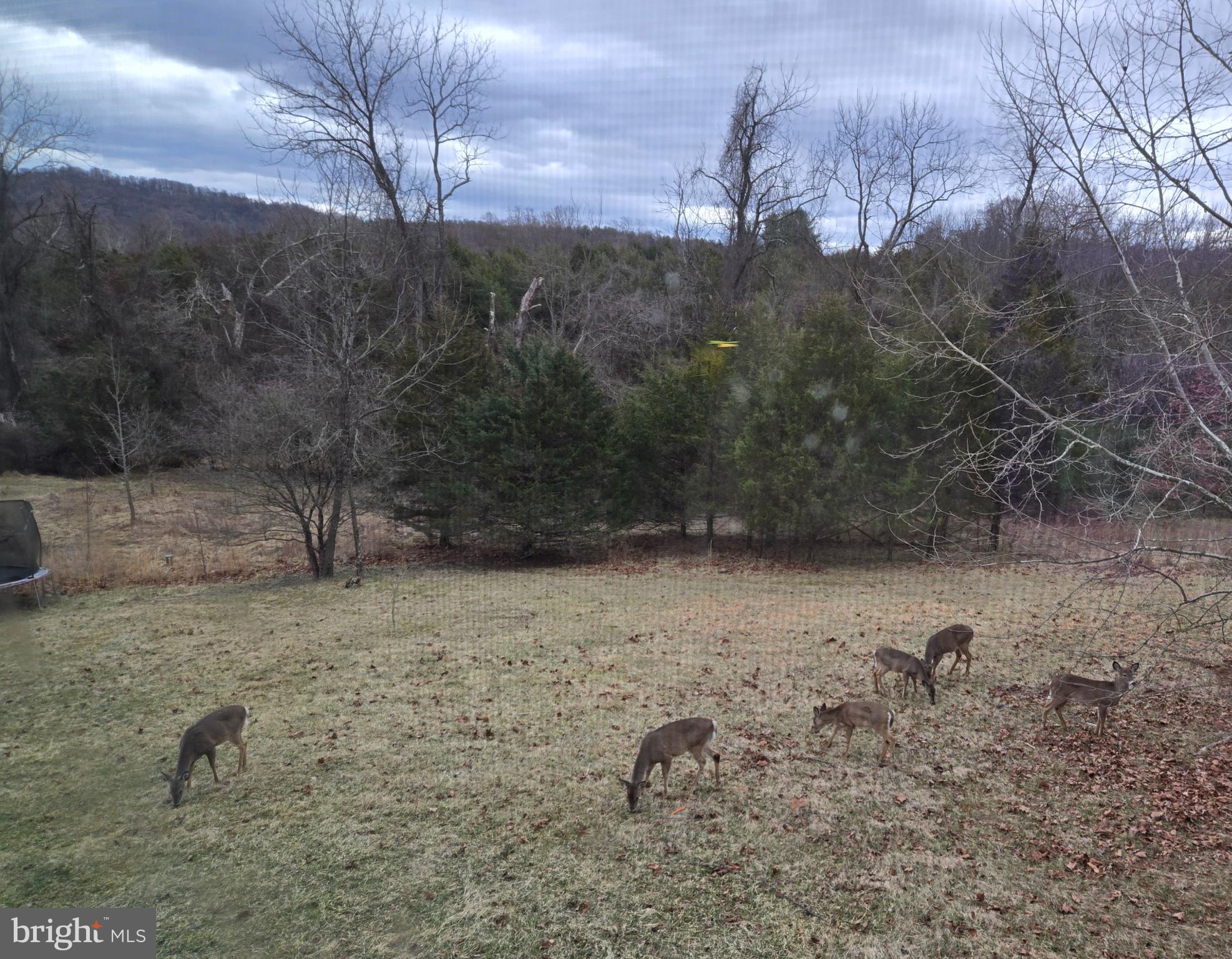 ECOVILLAGE - Residential Lease