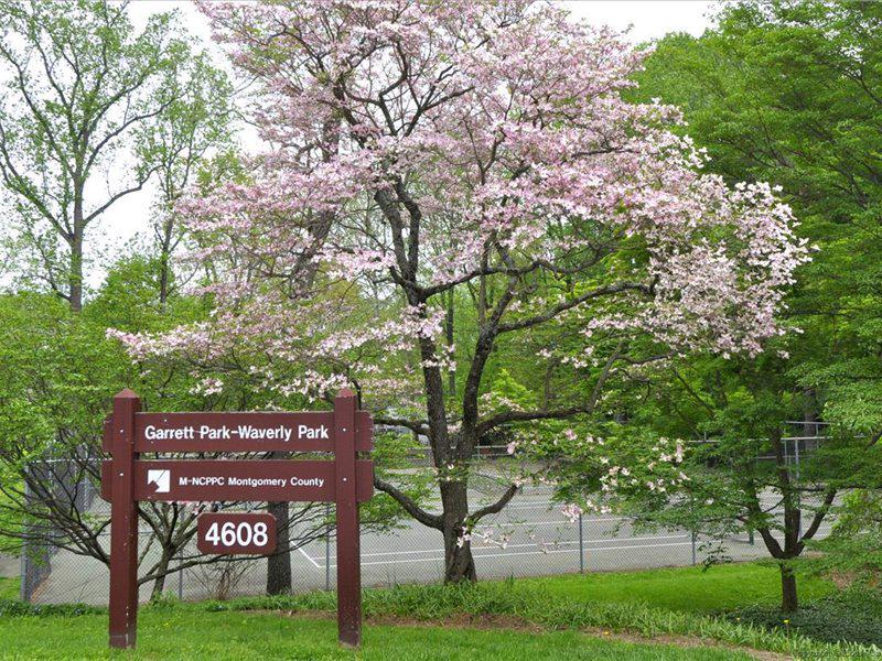 TWINBROOK FOREST - Residential