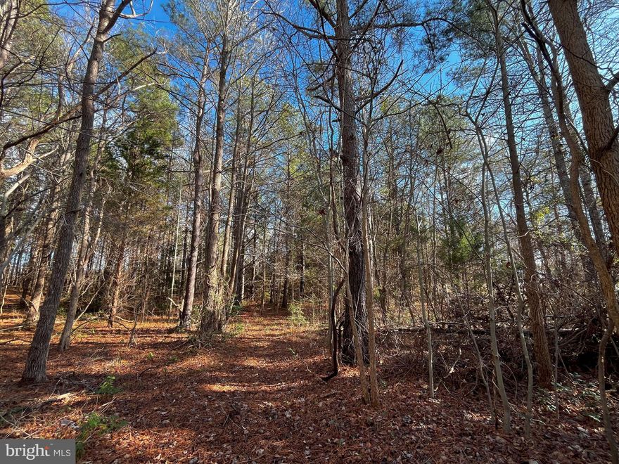 This remarkable opportunity is perfect for anyone looking to create their own slice of paradise in the countryside. The 7.4 acres of raw land not only provides ample space for your dream home but also features recently completed soil work, making it ready for a 3-bedroom alternative septic system. Imagine waking up to the sounds of nature, with breathtaking views that change with the seasons and wildlife as your neighbors. Whether you enjoy off-roading on your four-wheeler, exploring nature trails, or setting up hunting stands, this expansive parcel provides endless possibilities for adventure and recreation. You can create your own personal retreat where family and friends can gather for weekend getaways, camping trips, or simply to enjoy the great outdoors.  The prime rural location ensures you can relish the tranquility of country living while still having easy access to local amenities. Enjoy dining at nearby restaurants, participating in recreational activities, and taking advantage of the quick commute via I-95 for work or weekend excursions. This is your chance to turn your dreams of building a custom home into reality. The potential for your ideal sanctuary is just a visit away. Don’t miss out on this rare opportunity—come and explore this beautiful parcel of land and envision the life you could create here! Make your dreams a reality and start planning your future in this serene setting today!