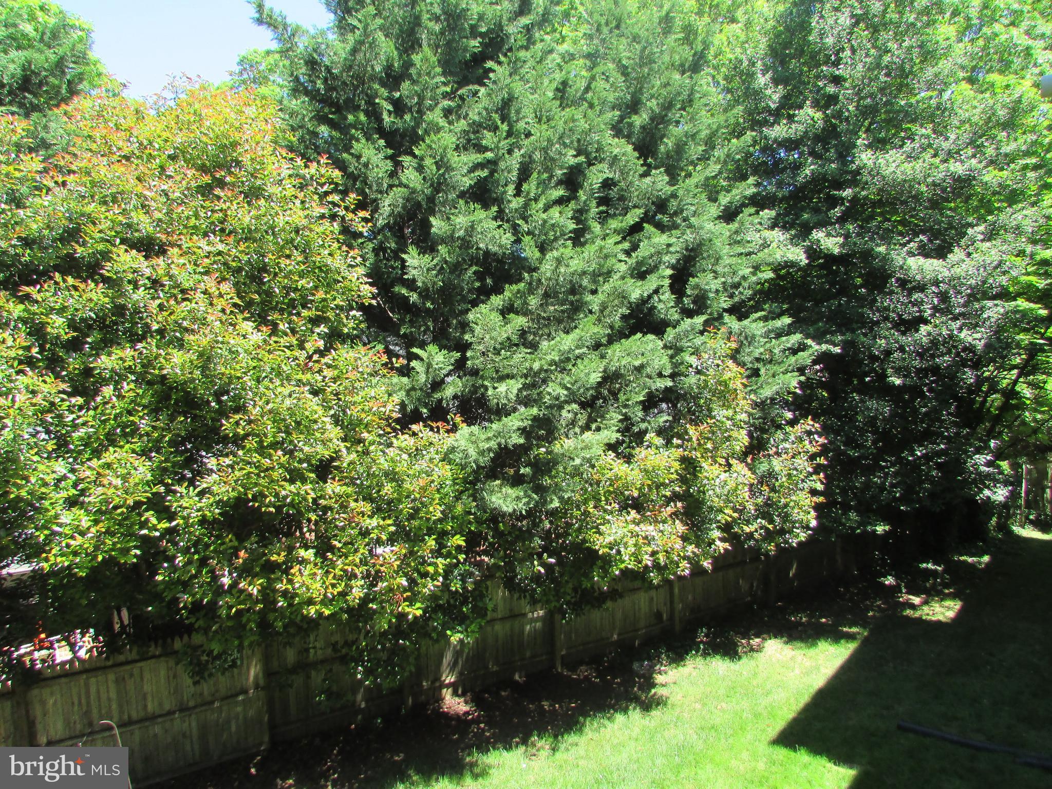 WESTWOOD COMMONS - Residential Lease