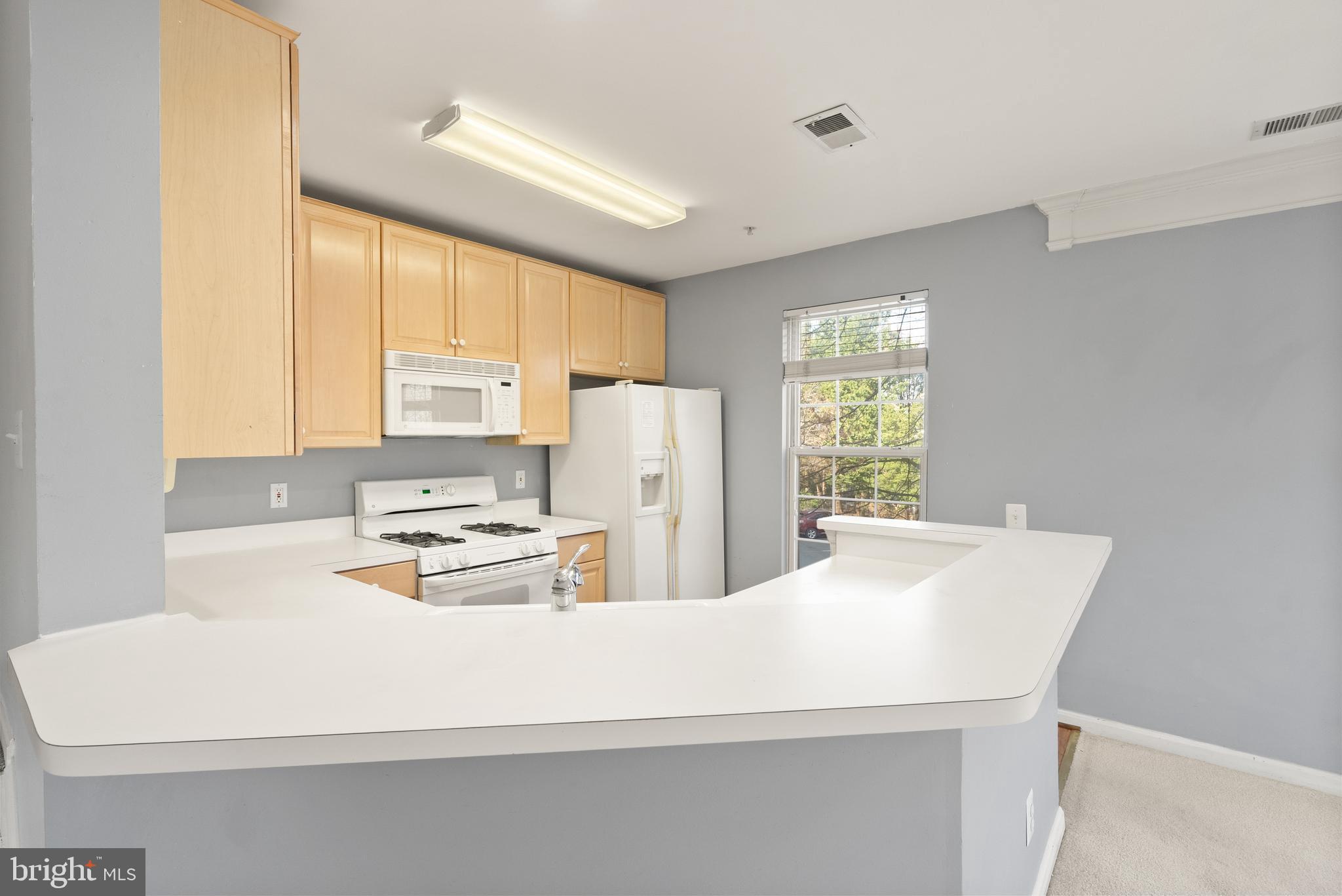 FAIR LAKES - Residential