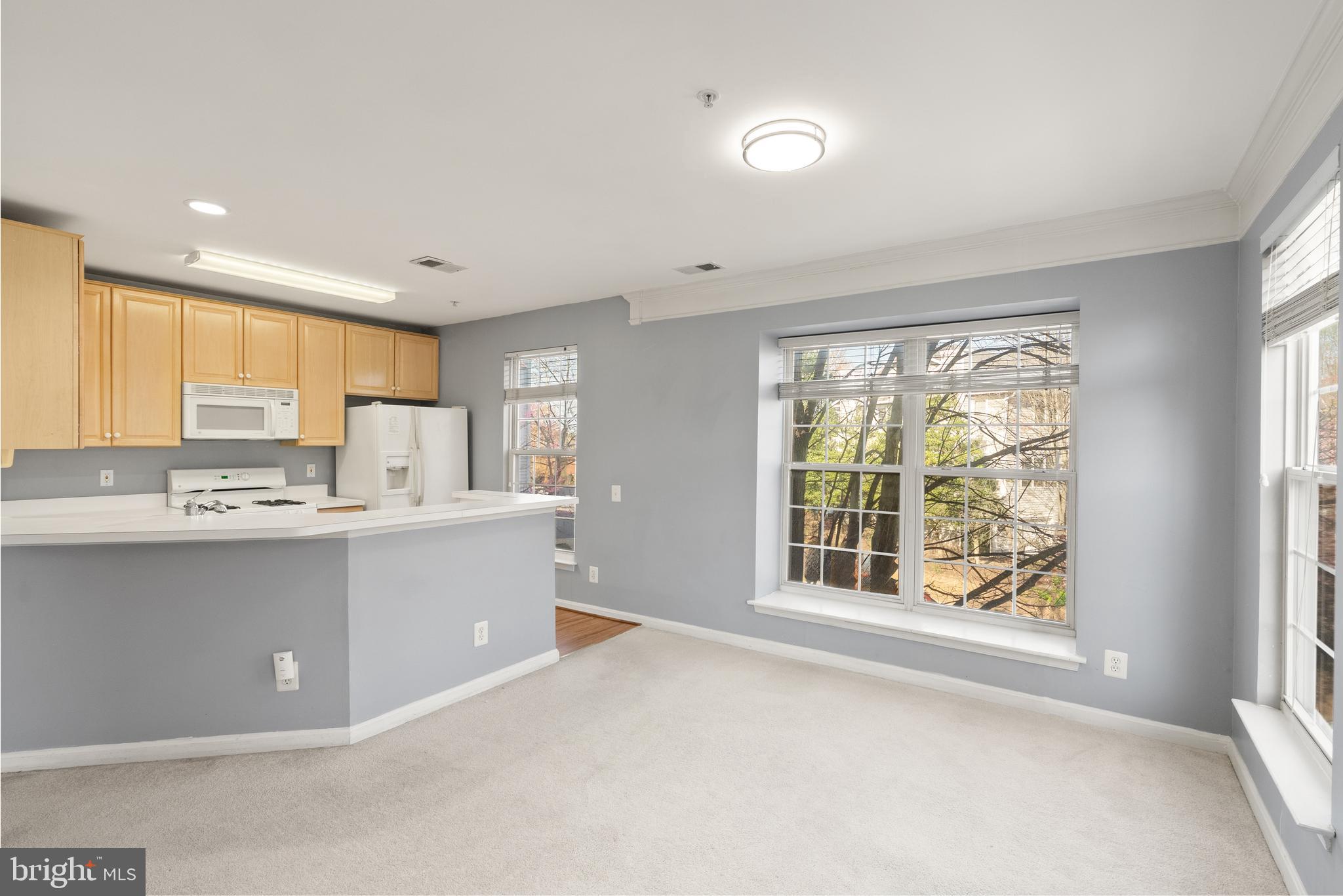 FAIR LAKES - Residential