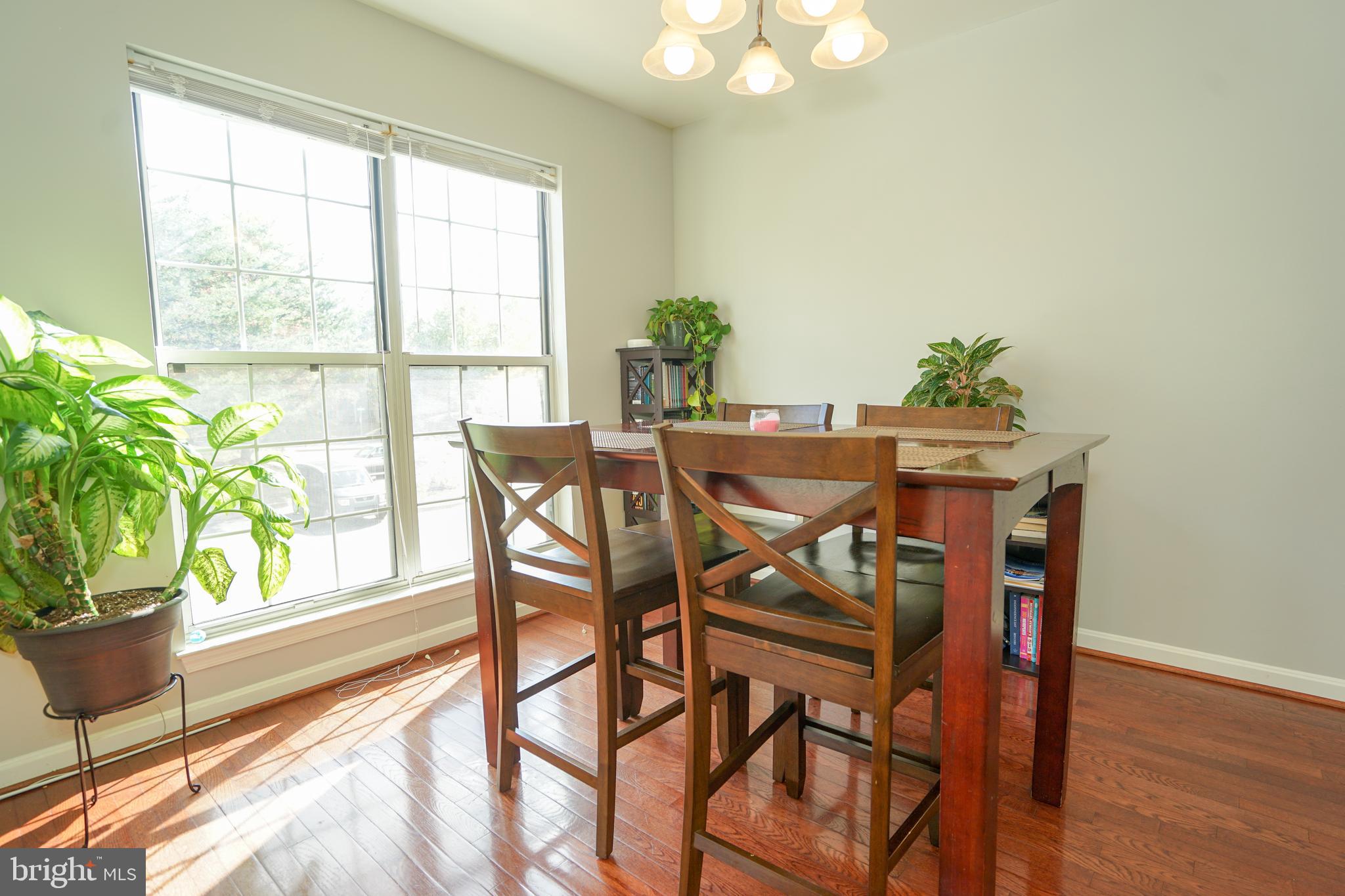 BULL RUN CONDO - Residential Lease