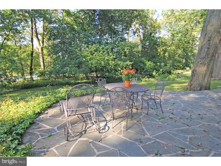 SHAND TRACT - Residential