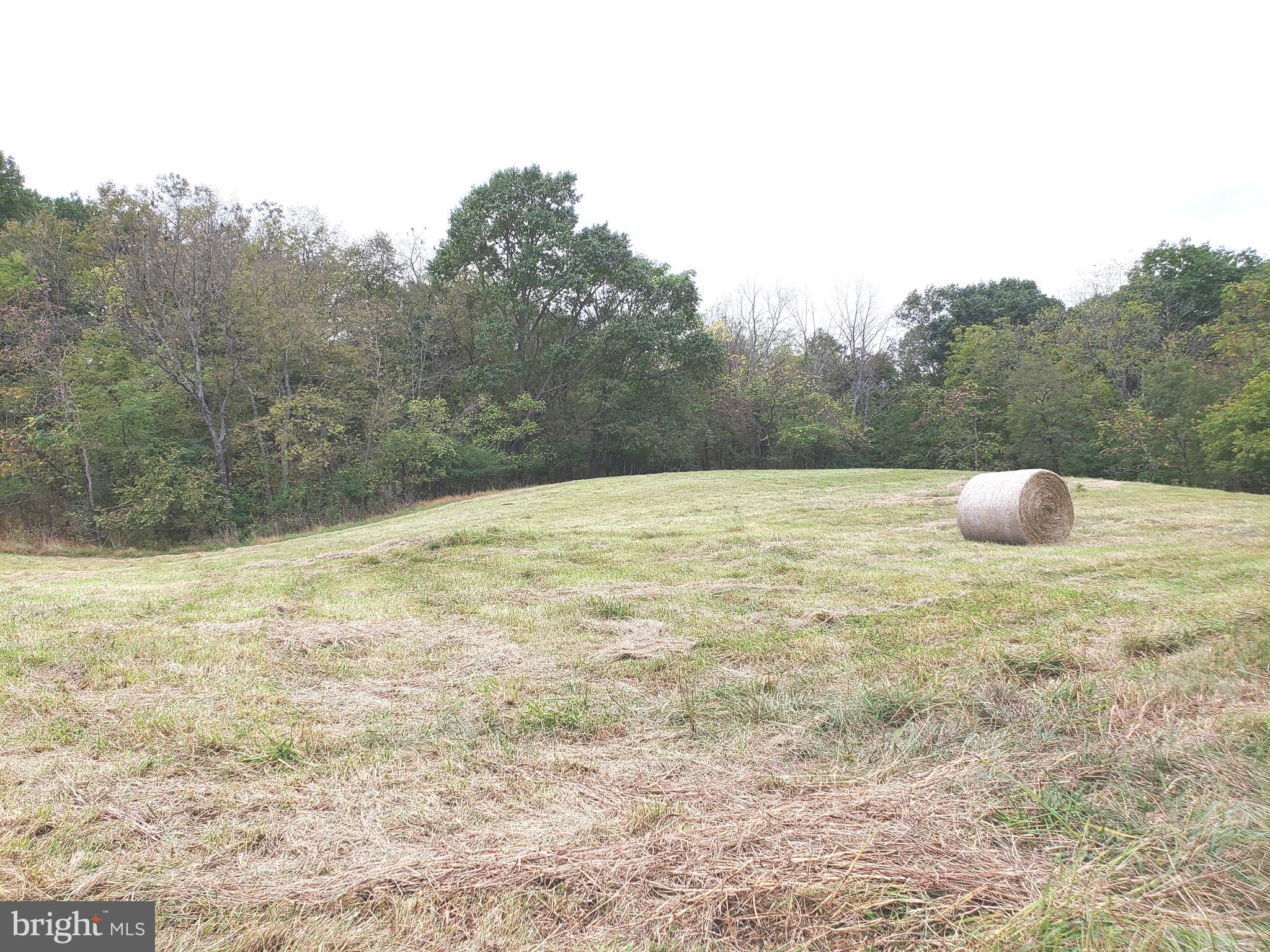 GRANT ACRES ESTATES - Land