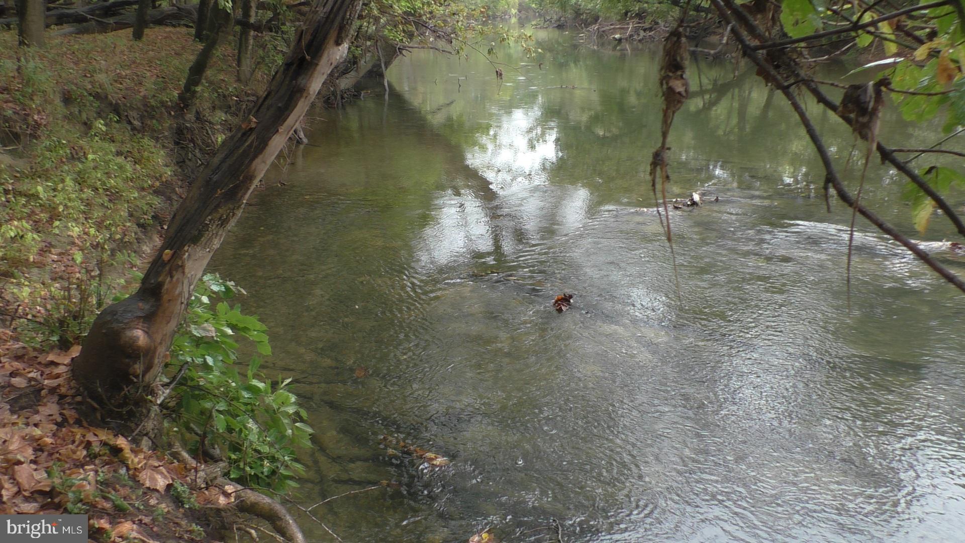 GRANT ACRES ESTATES - Land