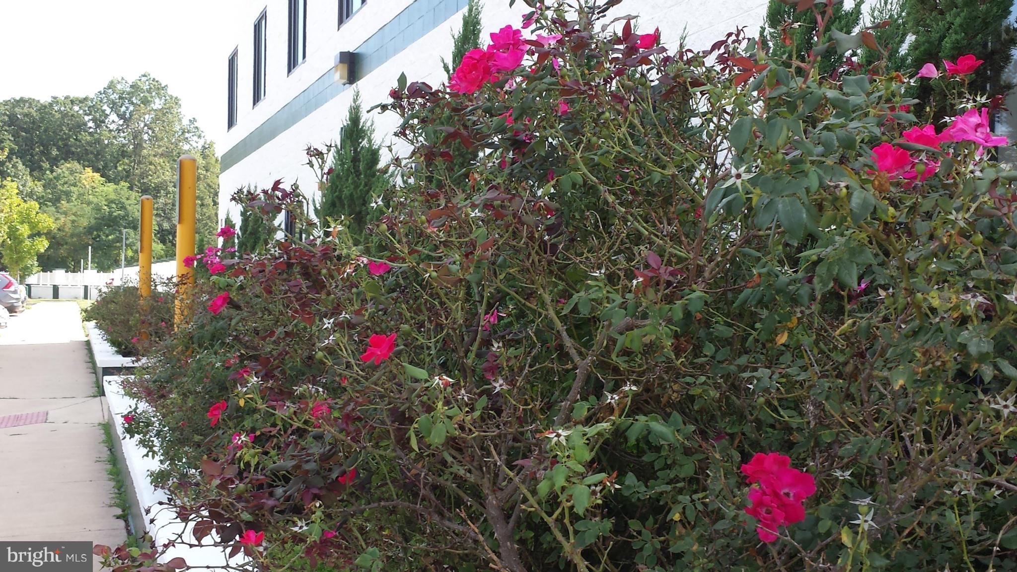 11441 ROBERTSON DRIVE 201 & 202