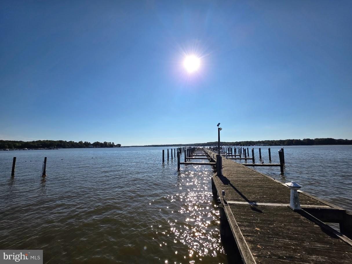 LOCUST POINT - Residential