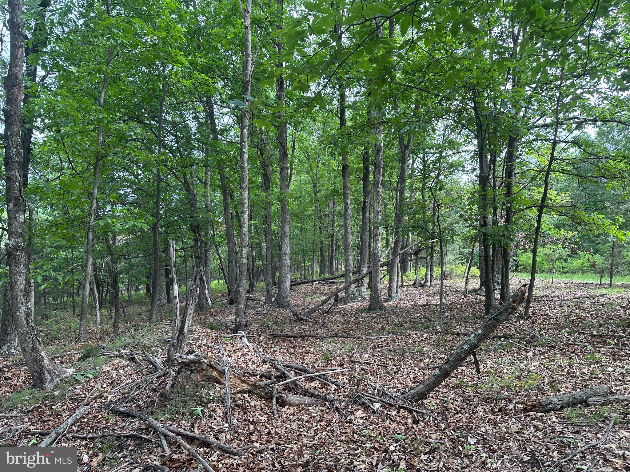 BLUFFS ON THE POTOMAC - Land