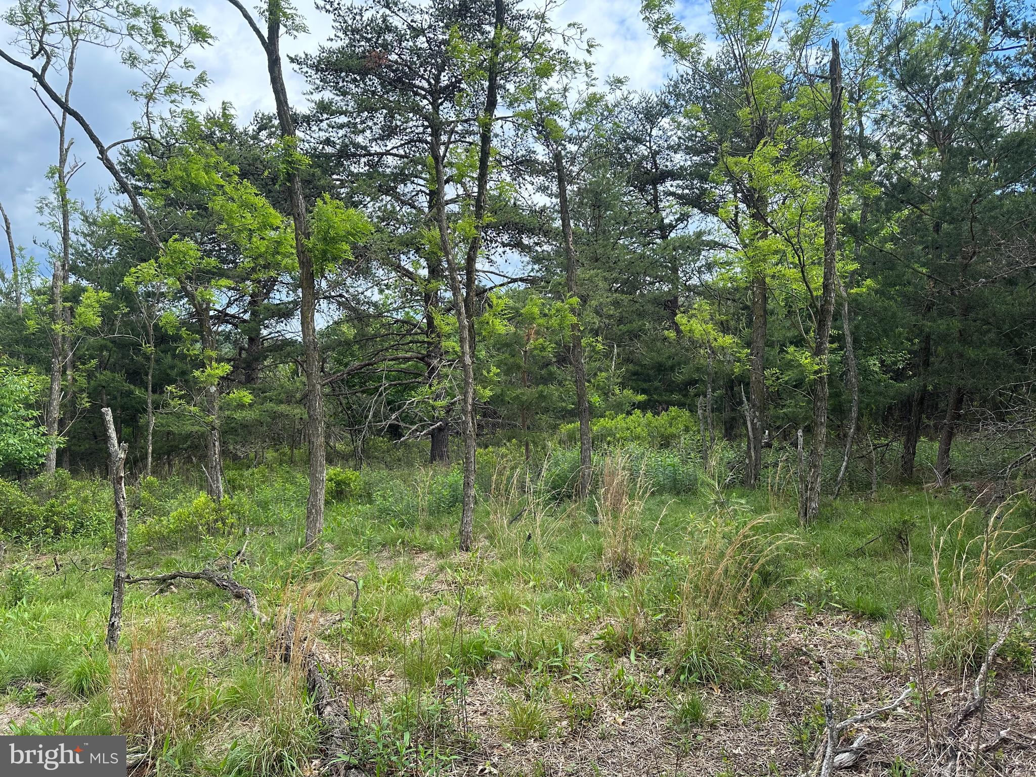 BLUFFS ON THE POTOMAC - Land