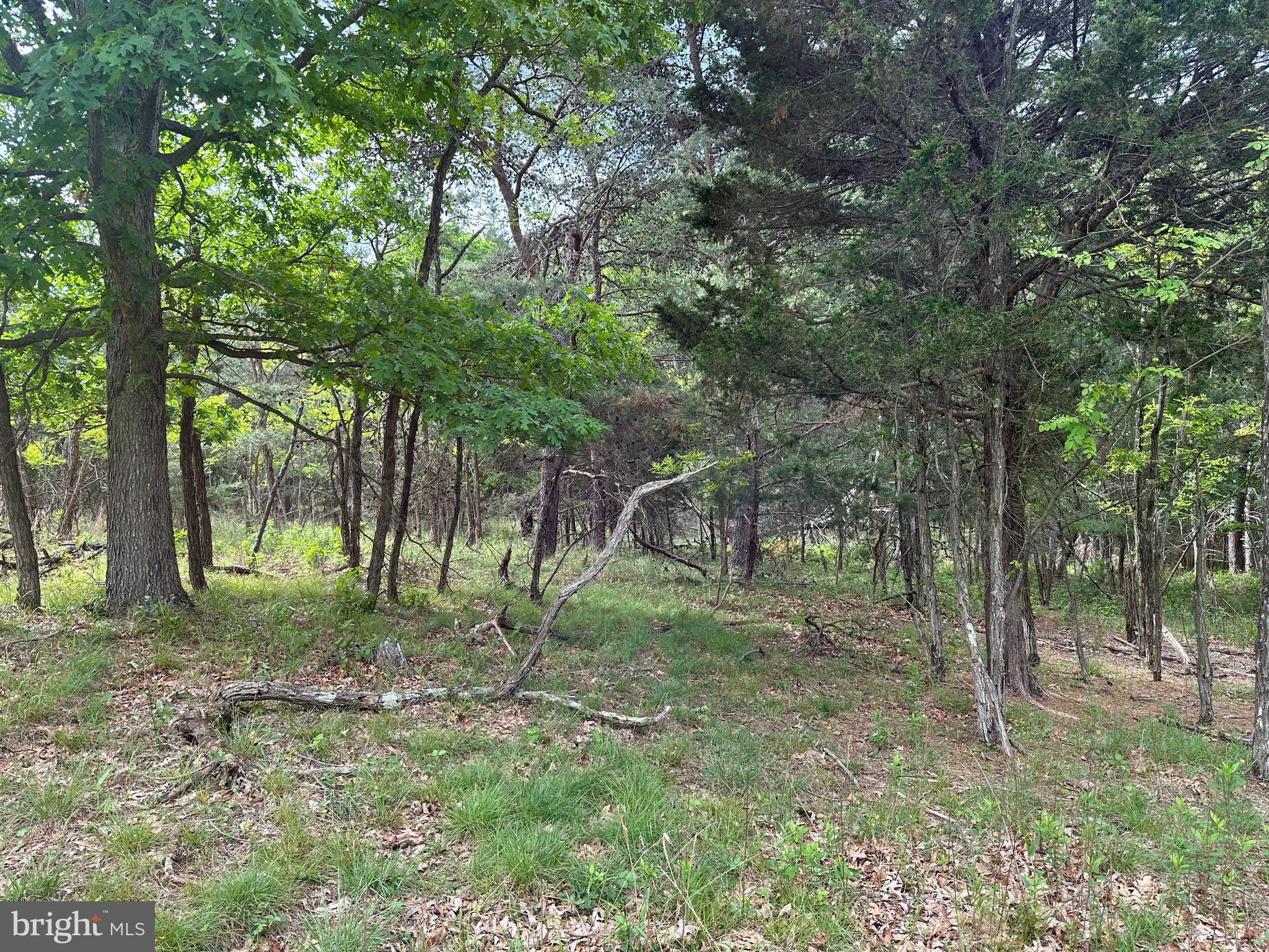 BLUFFS ON THE POTOMAC - Land