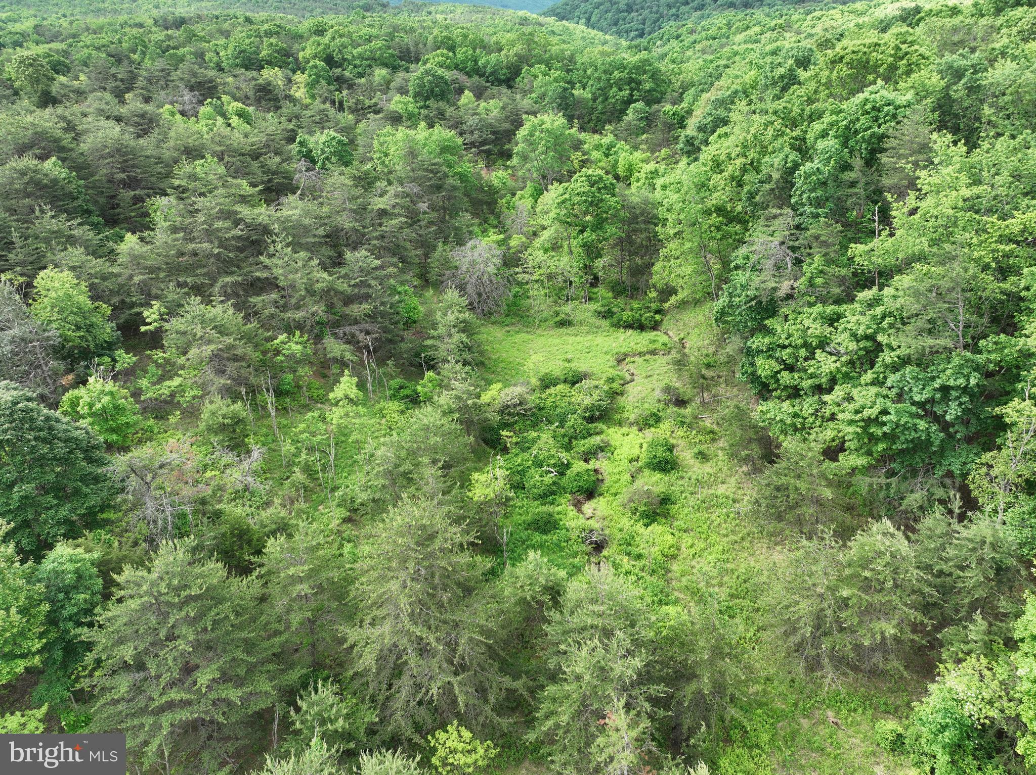 BLUFFS ON THE POTOMAC - Land